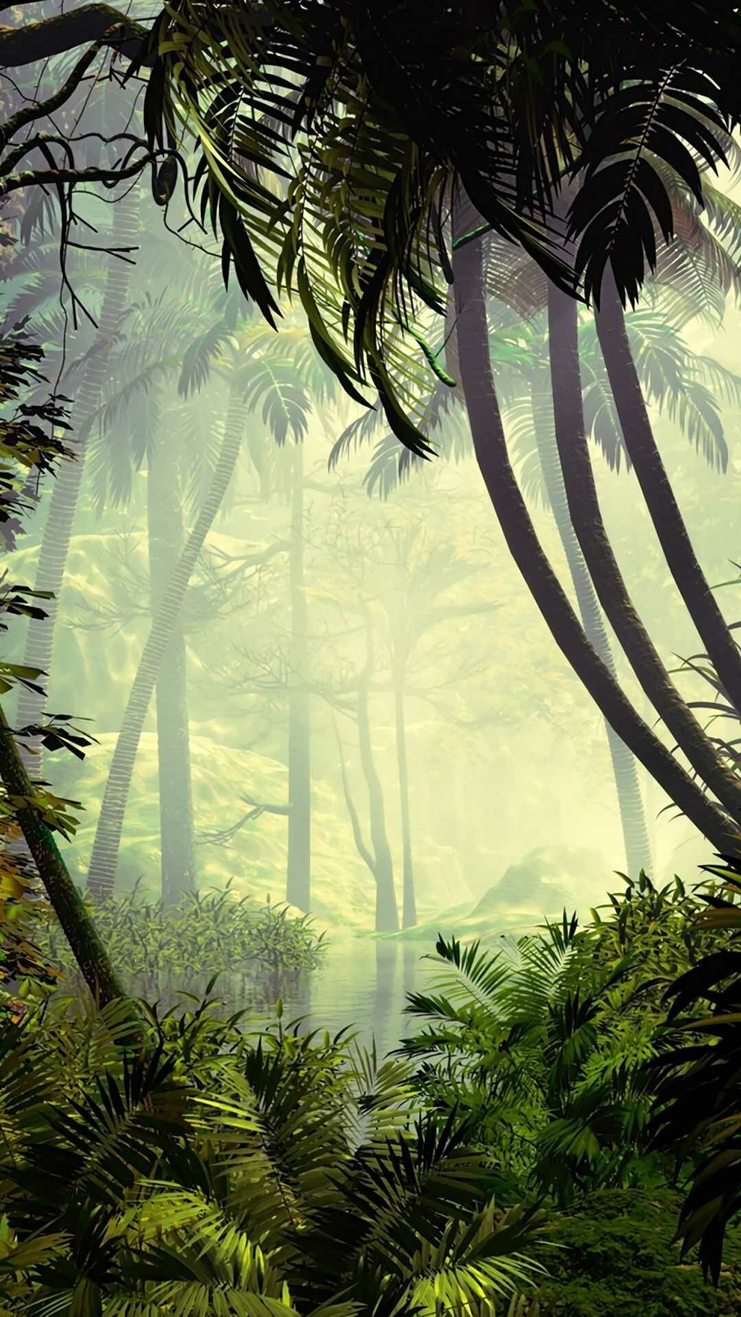 Jungle: An area of land overgrown with dense forest and tangled vegetation. 1080x1920 Full HD Wallpaper.