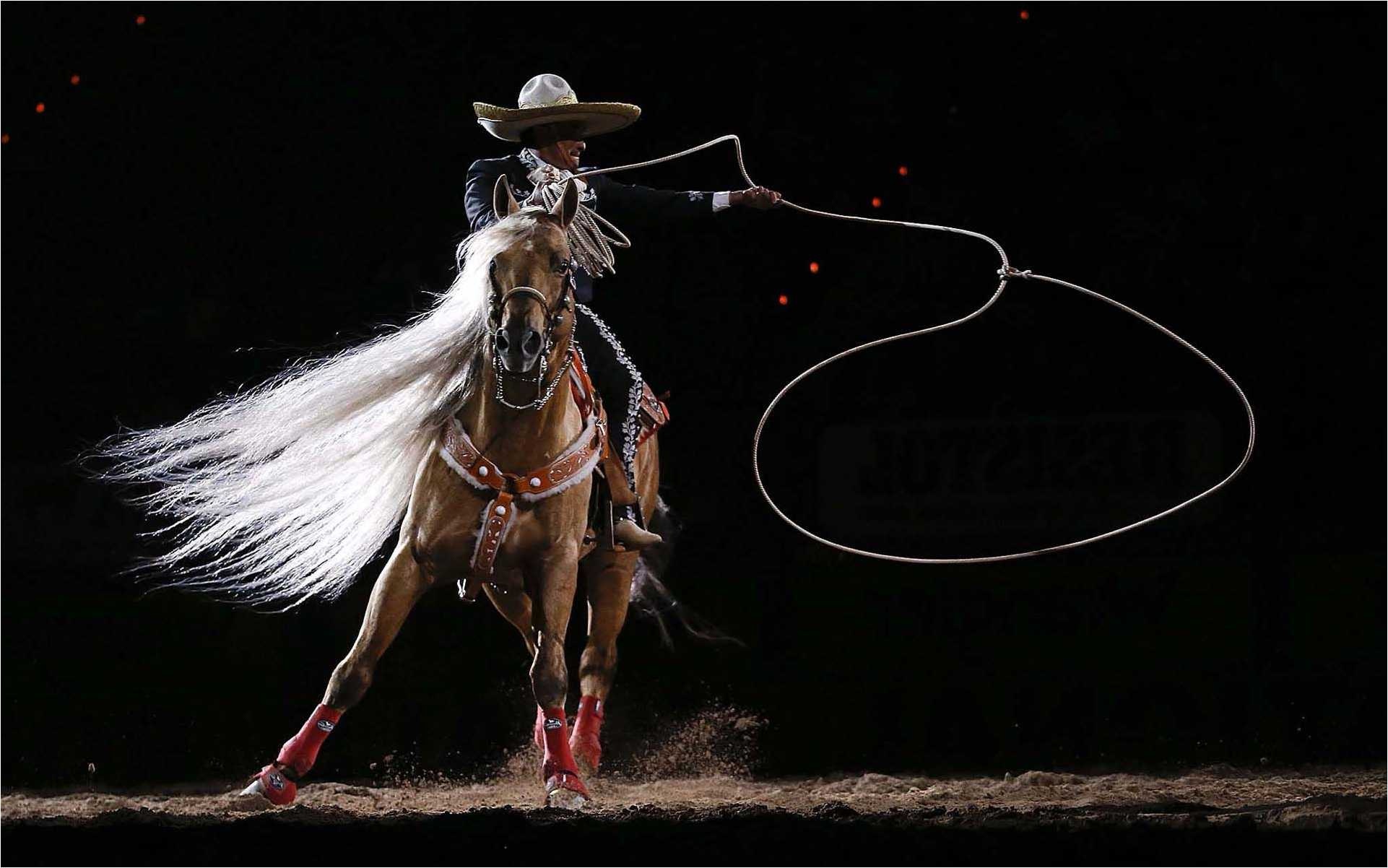 Rodeo: Flank strap, Bucking Horse Breeders Association, Bronco. 1930x1210 HD Background.