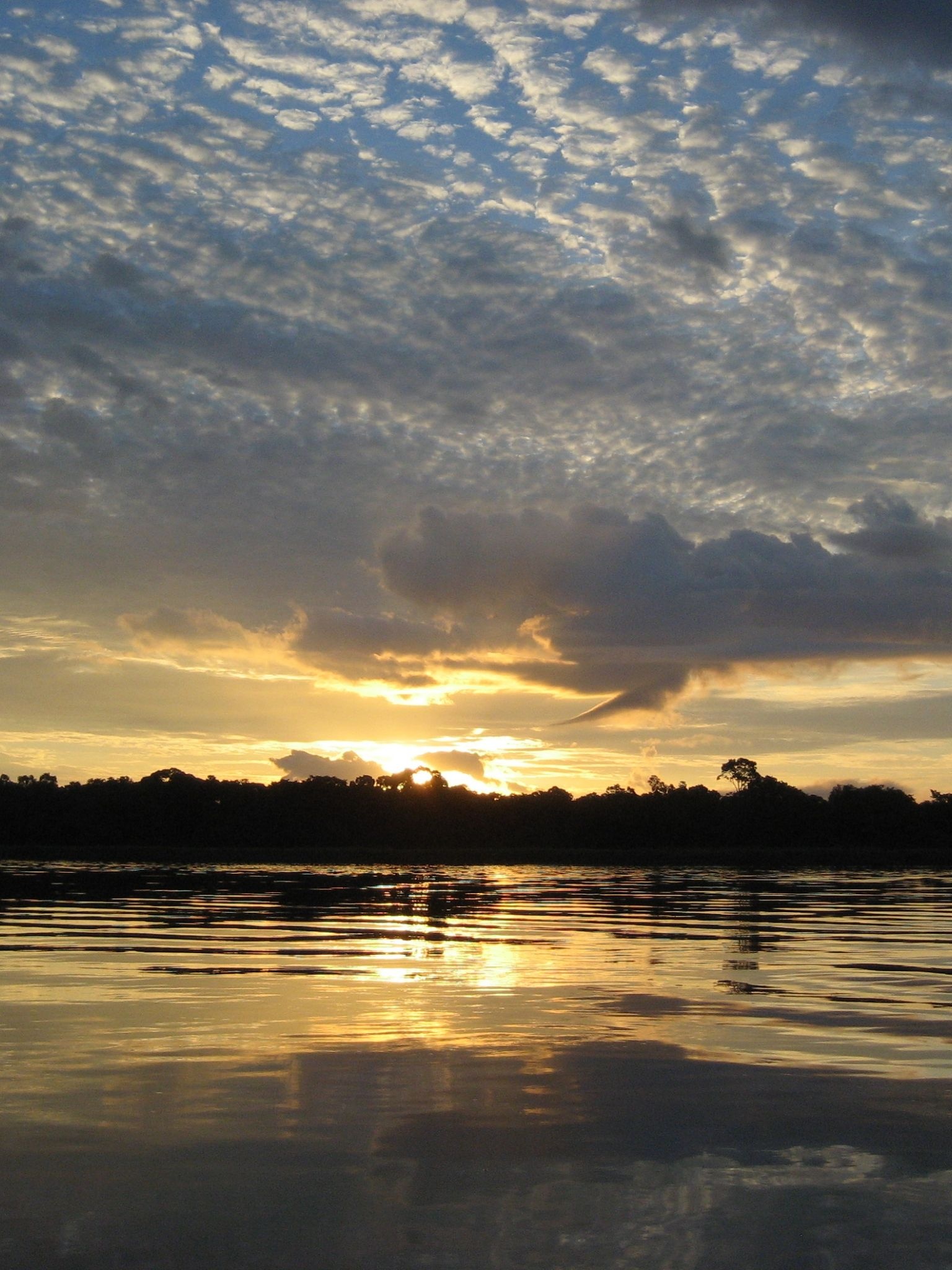 Congo River, Travel adventure, Majestic waters, Untamed beauty, 1540x2050 HD Handy