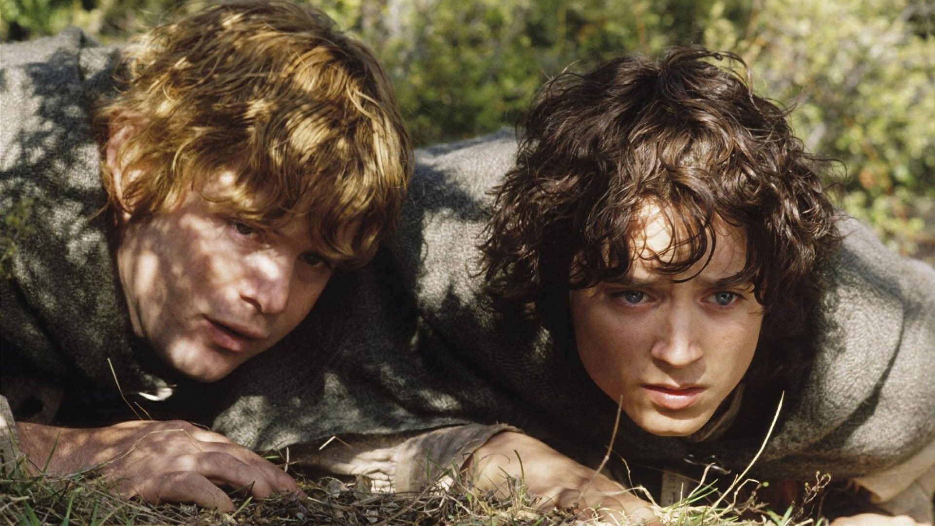 Sam, Loyal friend, Frodo and Sam image, Fellowship of the Ring, 1920x1080 Full HD Desktop