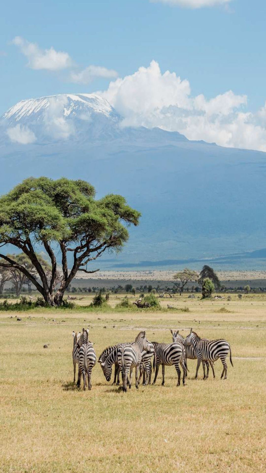 Explore Kenya, East African beauty, Safari adventures, Cultural richness, 1080x1920 Full HD Handy