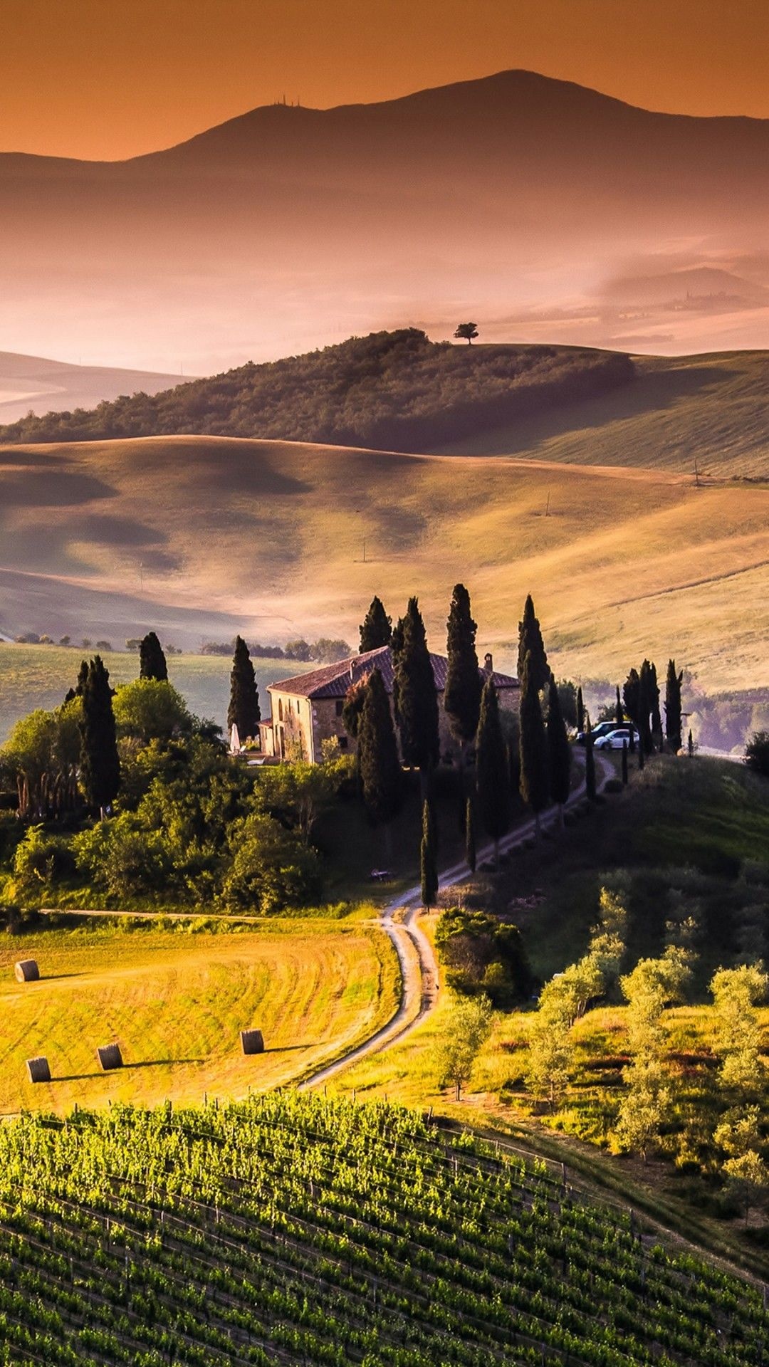 Landscape: Tuscany region in central Italy, Italian-style country house surrounded by green fields. 1080x1920 Full HD Background.
