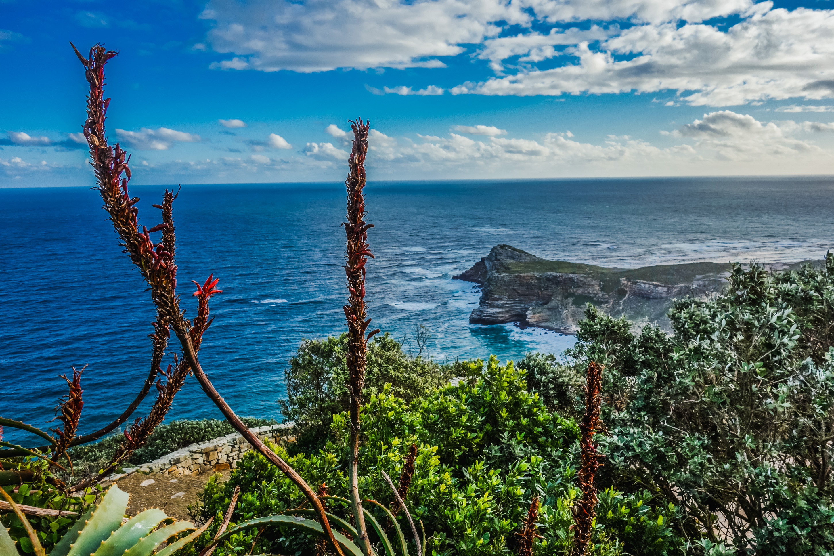 Cape of Good Hope, Wolf pack, South Africa's beauty, Coastal wonder, 2900x1940 HD Desktop