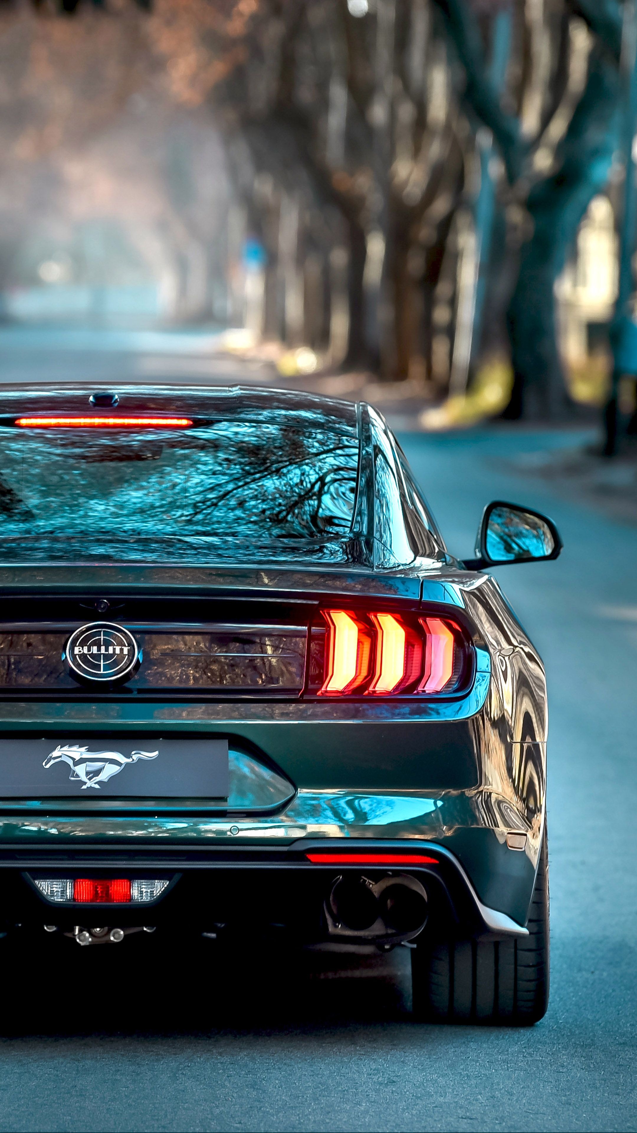 Ford Mustang: One of America's most popular sport coupes, 2019 GT model. 2160x3840 4K Background.
