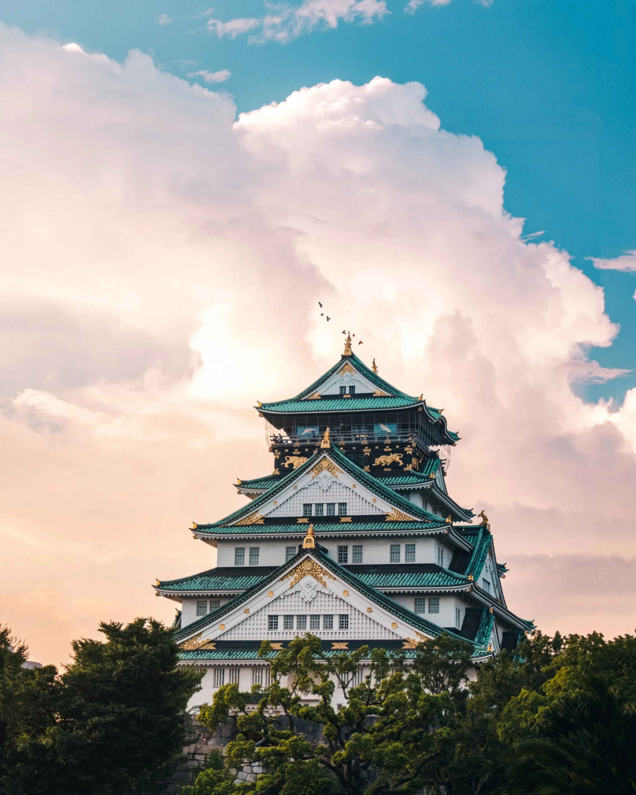 Osaka Castle, Travels, Cultural exploration, Unveiling secrets, 2050x2560 HD Phone