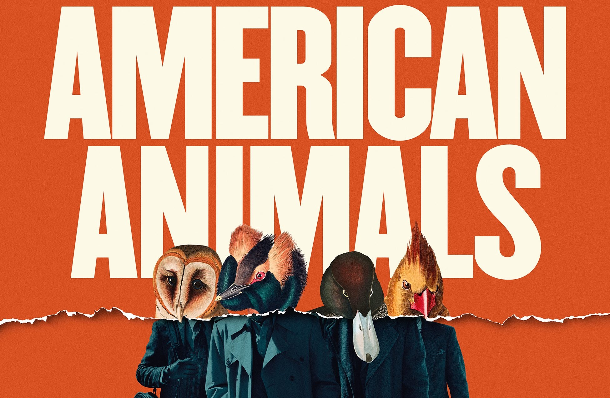 American Animals movie, Rapina del secolo, Jamovie database, Criminal masterpiece, 1960x1280 HD Desktop