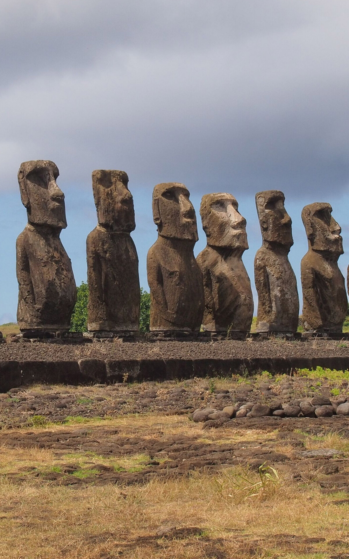 Moai: There are 887 known Easter Island statues, Sculpture, Polynesia. 1200x1920 HD Wallpaper.