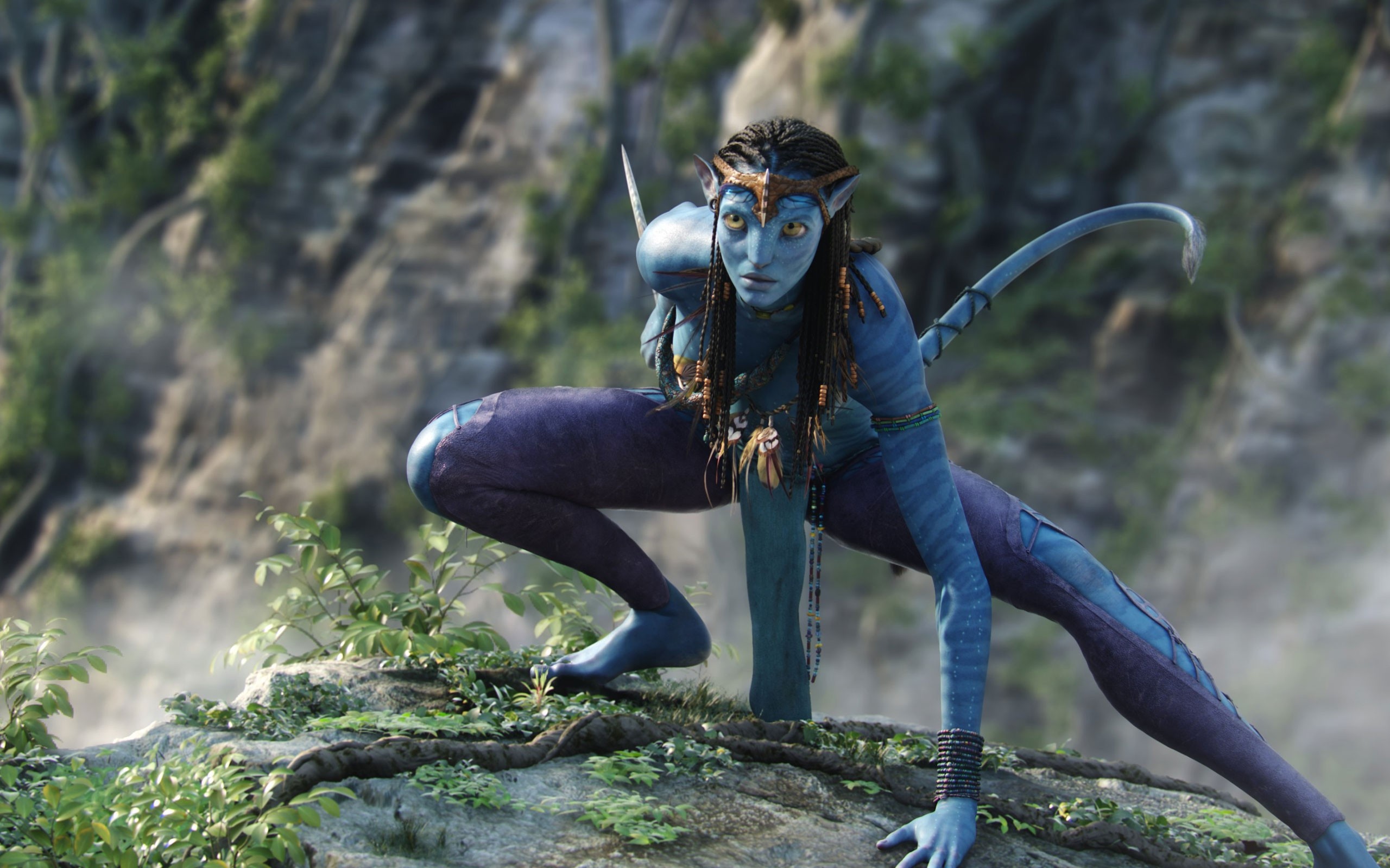 Zoe Saldana, Avatar movie, Chaos wallpapers, Neytiri, 2560x1600 HD Desktop