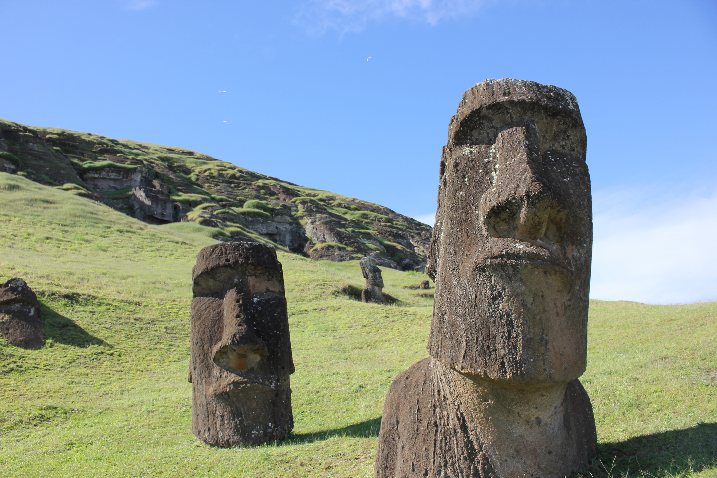 Ancient society, Easter Island civilization, Sophisticated culture, Archeological marvel, 2340x1560 HD Desktop