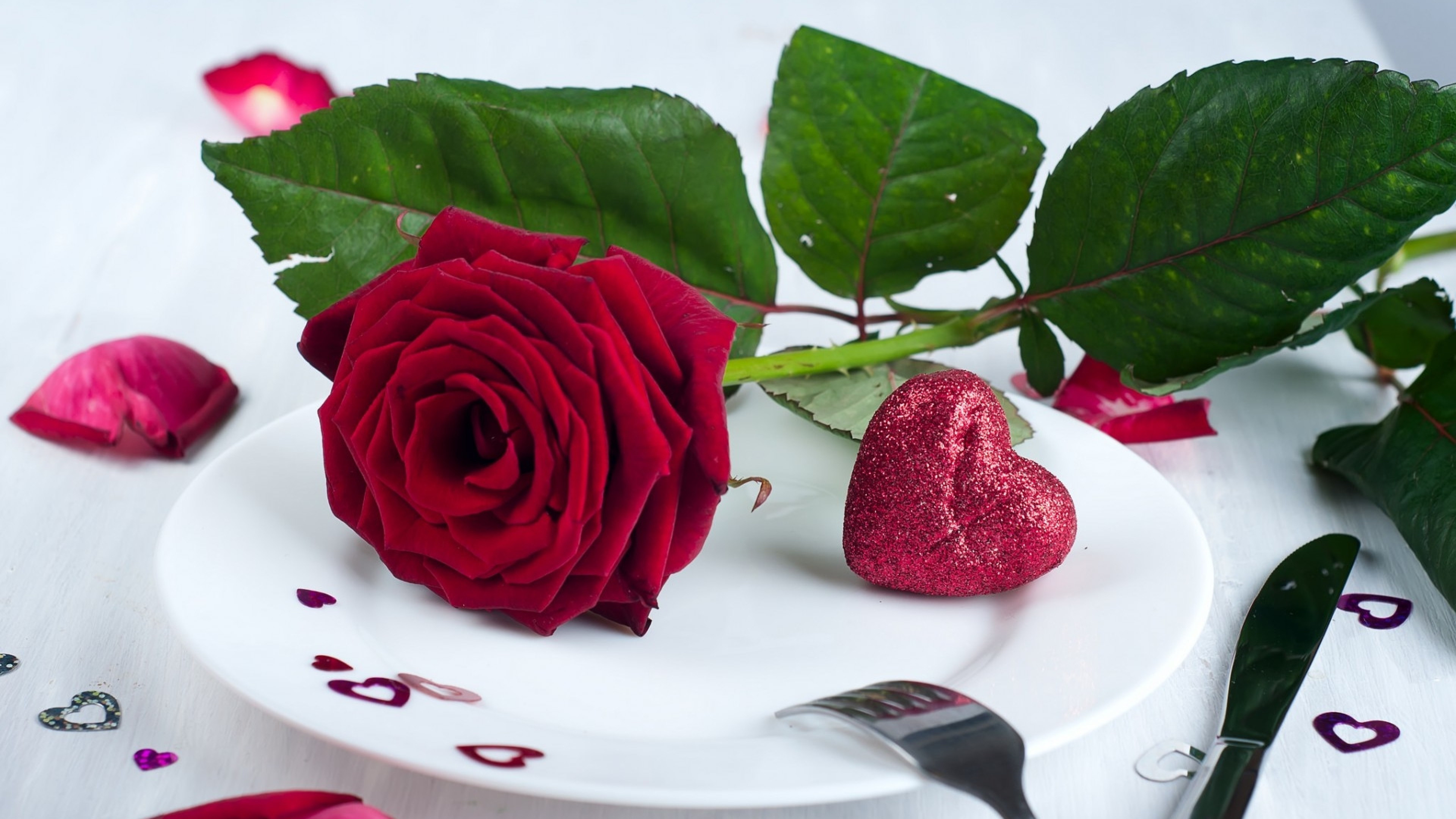Red rose plate, Romantic setting, Love and food, Symbolic gesture, 3840x2160 4K Desktop