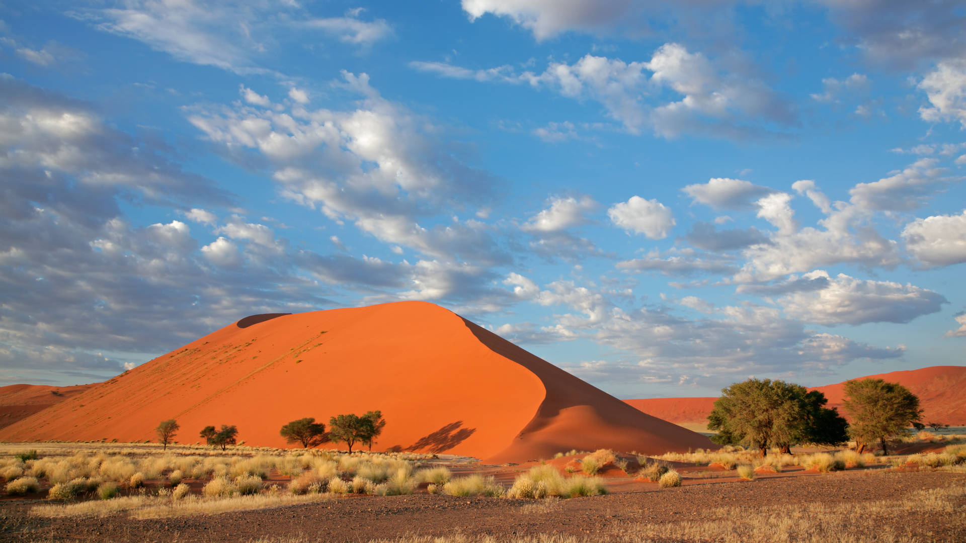 Namibia wilderness, Authentic experiences, Nature exploration, Adventure travel, 1920x1080 Full HD Desktop