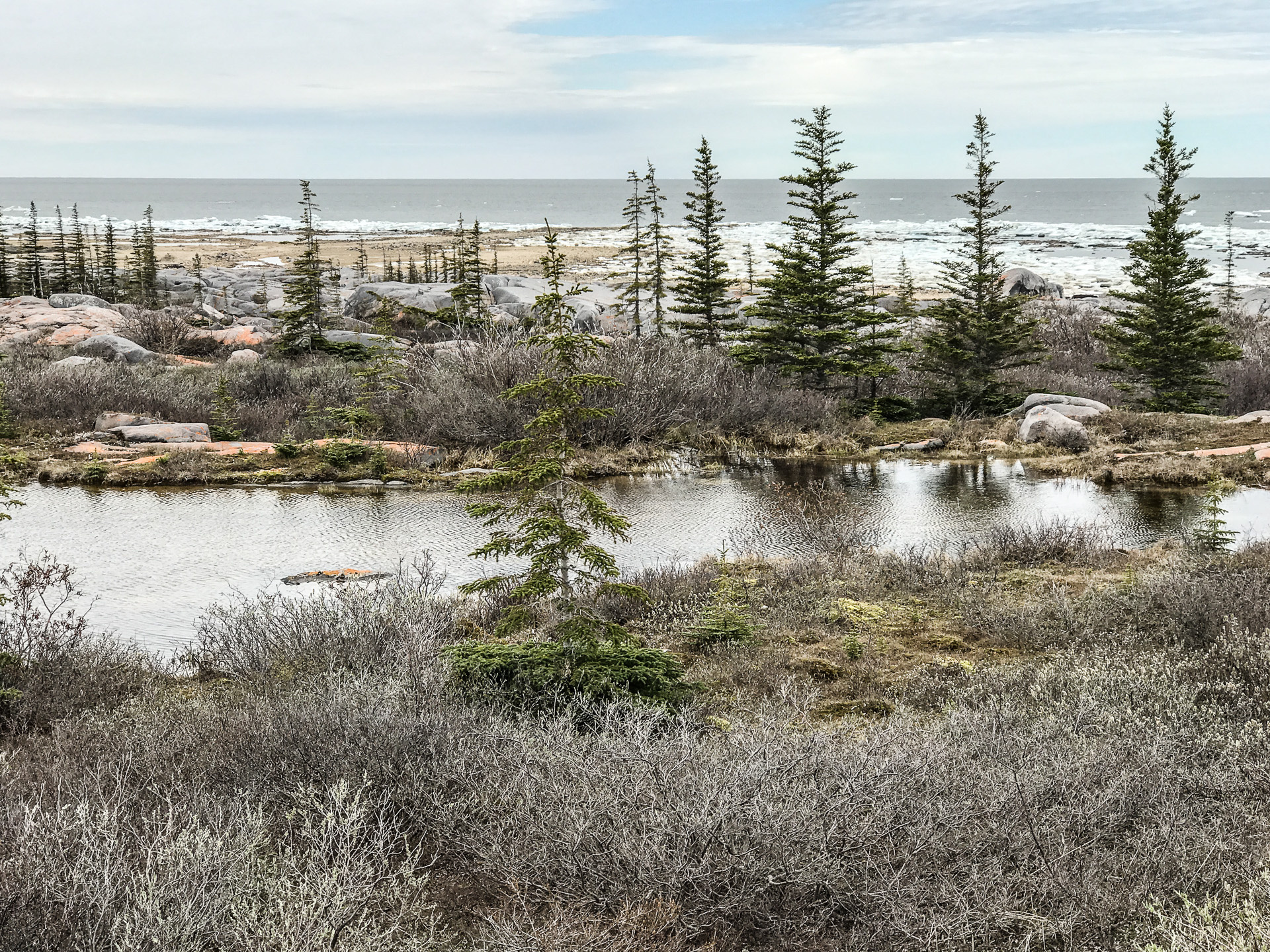 Launch road, Taiga pond, Hudson Bay Churchill, Manitoba, Natural parks, 1920x1440 HD Desktop