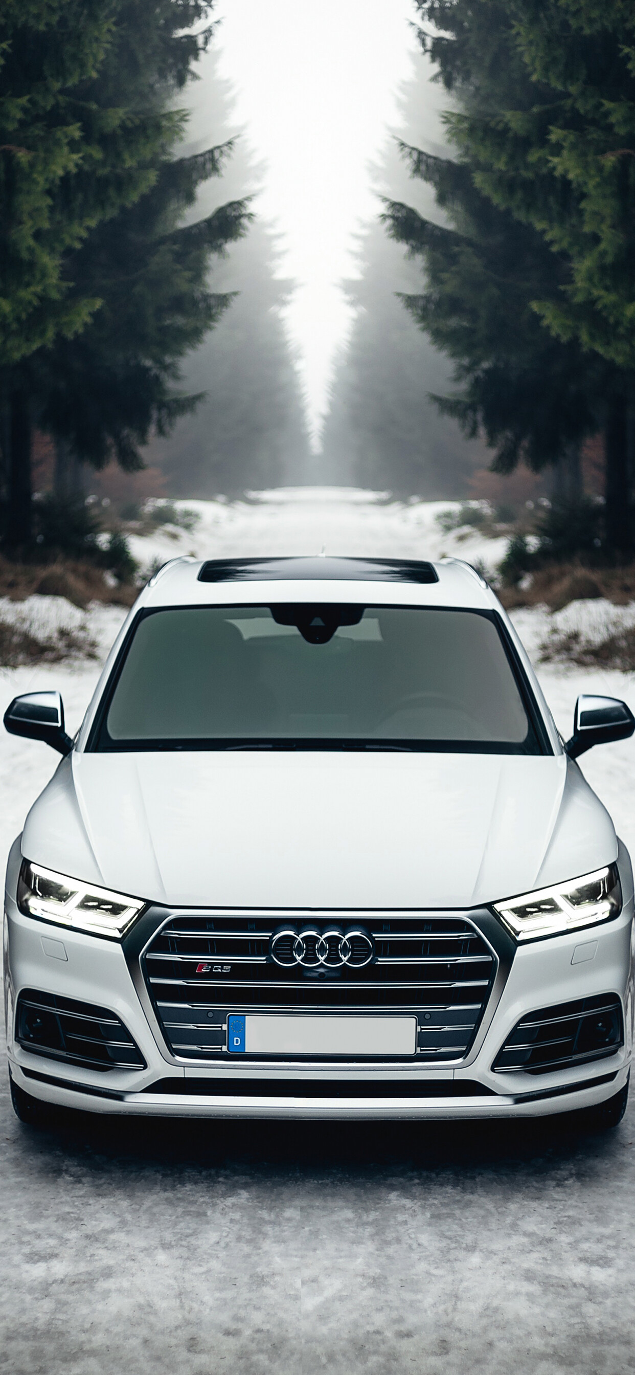 Audi: One of the most popular German car manufacturers. 1250x2690 HD Background.