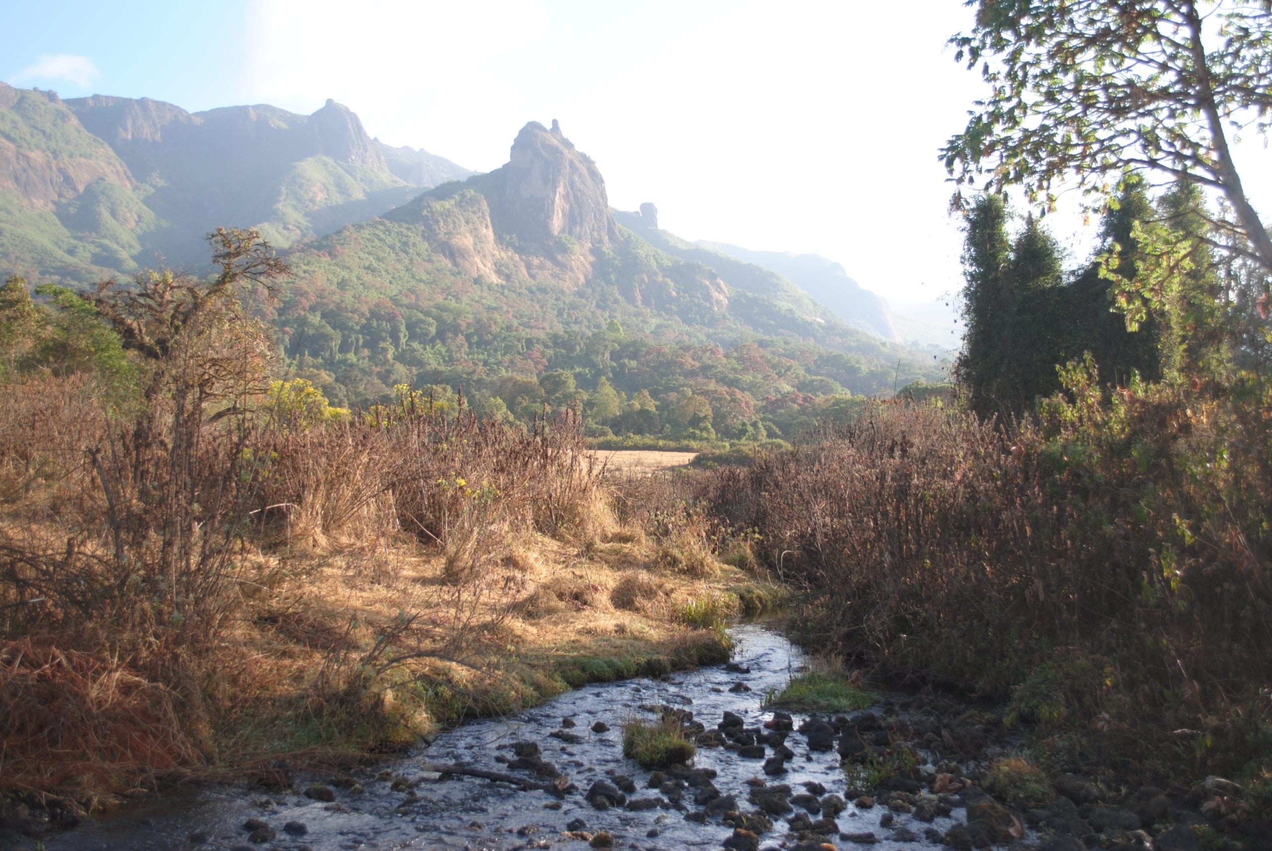 Bale Mountains National Park, Ethiopia, Indigenous tribes, Majestic peaks, 2560x1720 HD Desktop