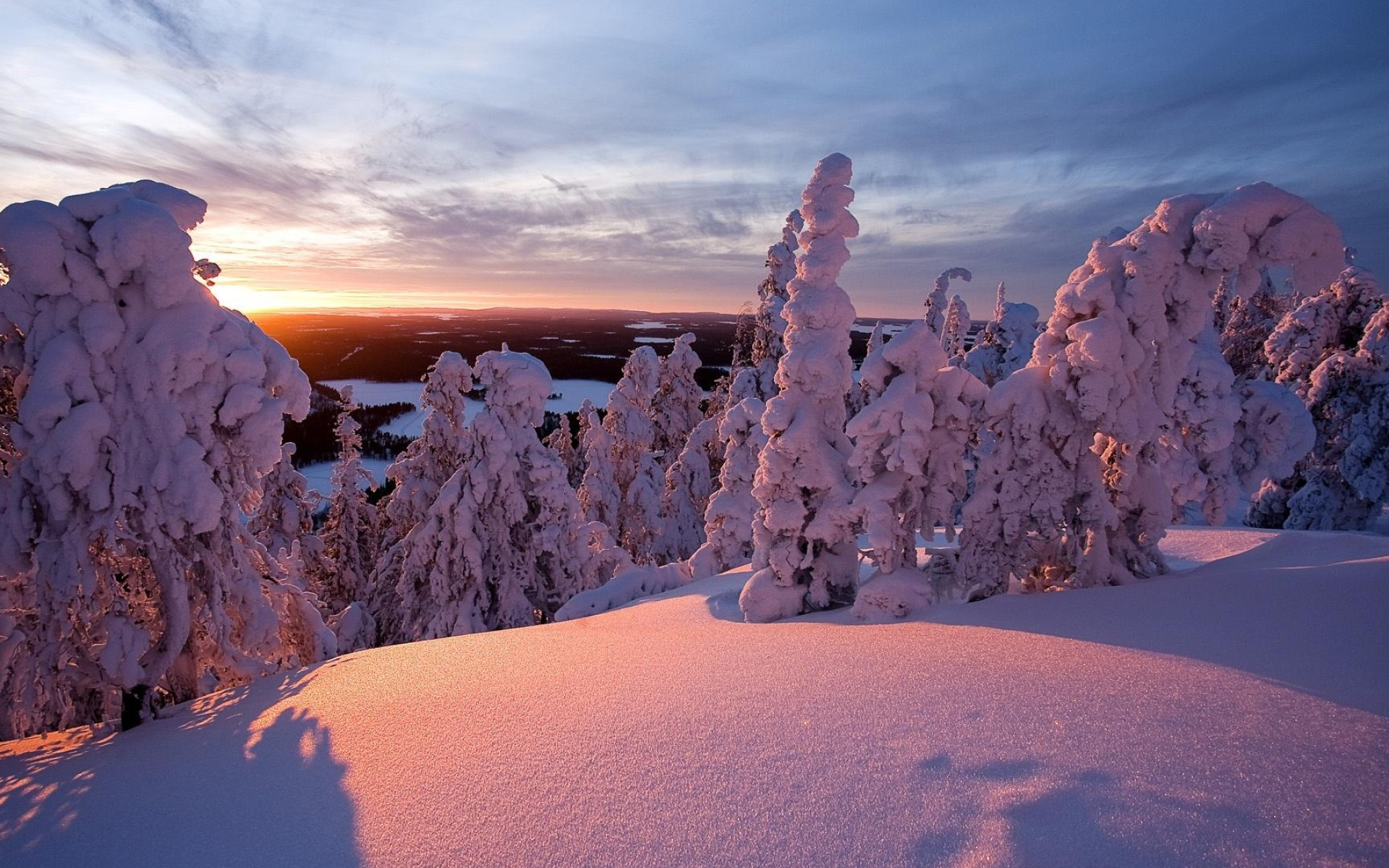 Finland: Lapland, Lumbering is a major industry in the country. 1920x1200 HD Wallpaper.