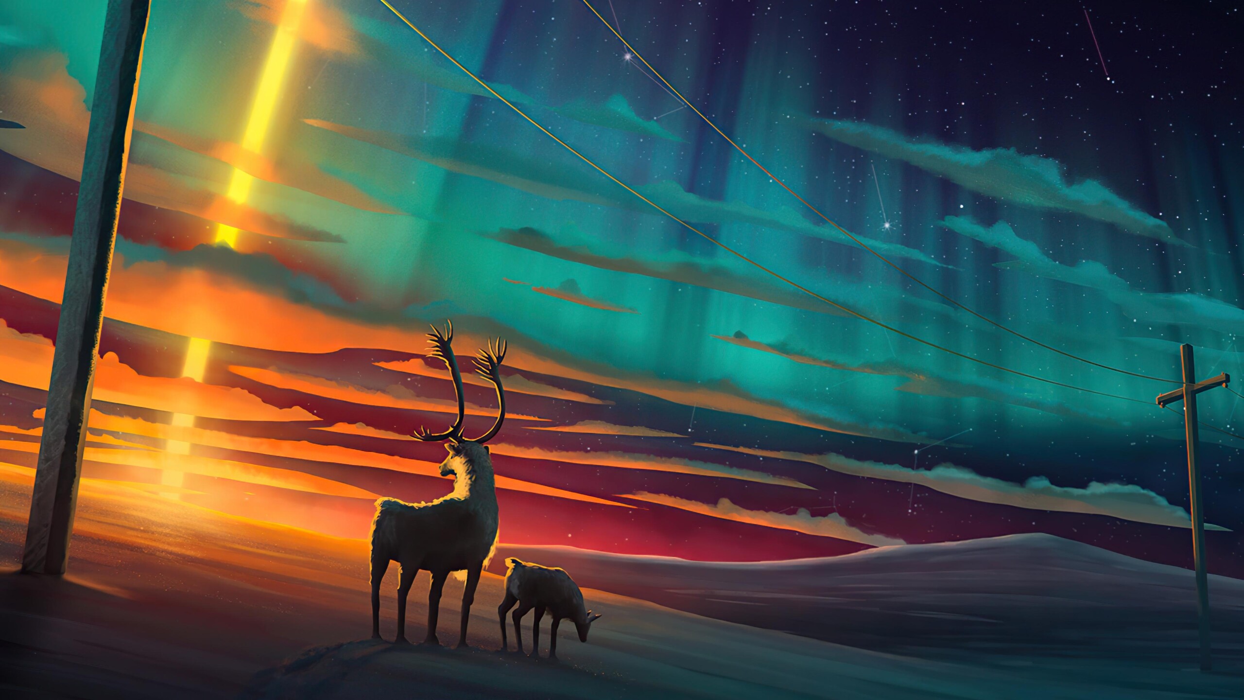 Reindeer: Northern lights, Stone's caribou, a large montane type, was described from the Kenai Peninsula. 2560x1440 HD Background.