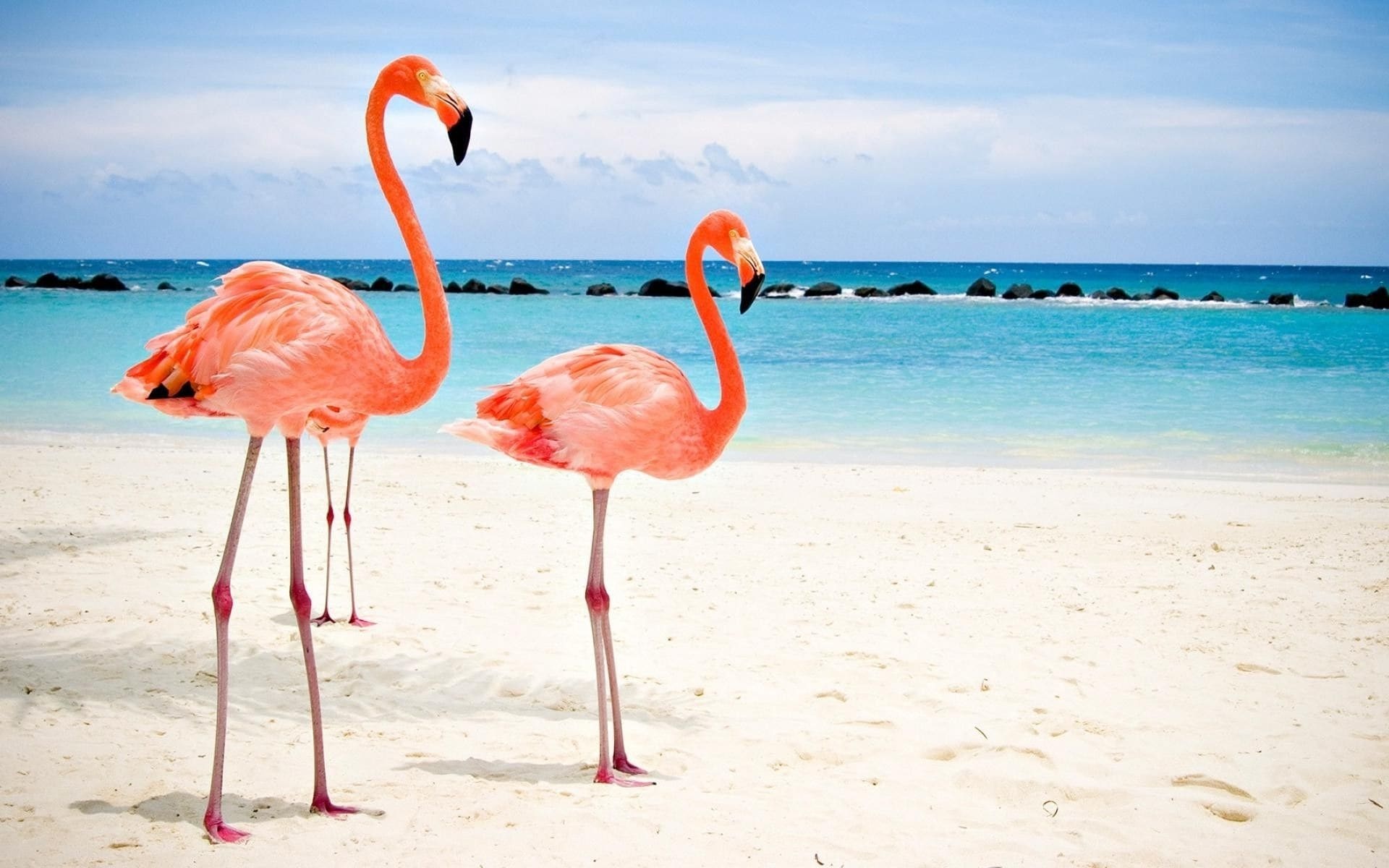 Aruba Island, Bucket list destination, Ultimate vacation, Dream getaway, 1920x1200 HD Desktop