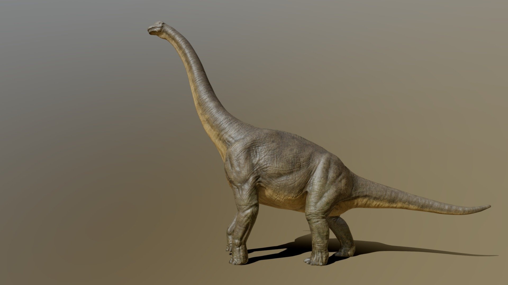 Brachiosaurus giraffatitan 3d, Pxltiger 9c97710 sketchfab, Brachiosaurus, 1920x1080 Full HD Desktop