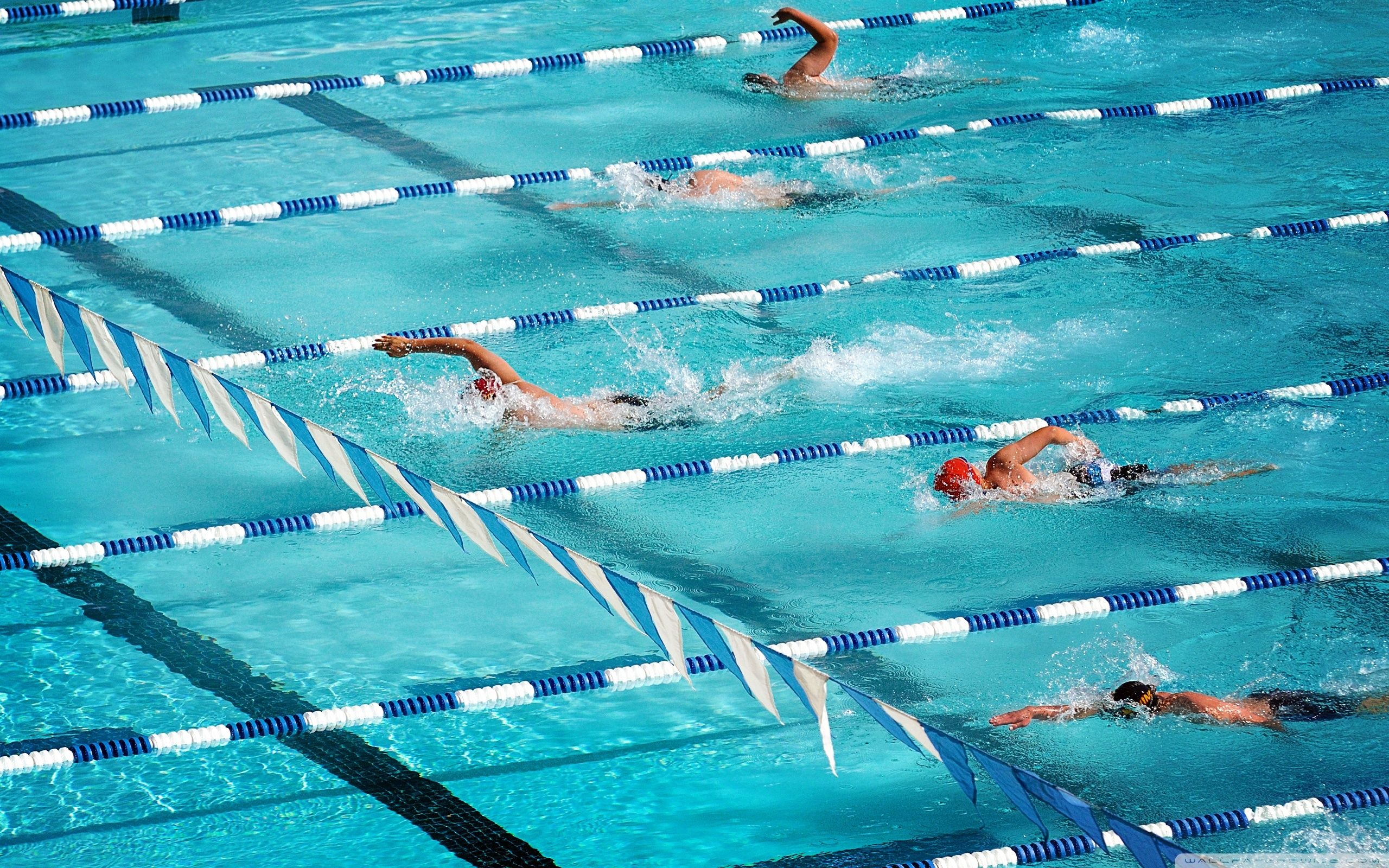 Swimming: An individual or team racing sport that requires the use of one's entire body to move through the water. 2560x1600 HD Wallpaper.