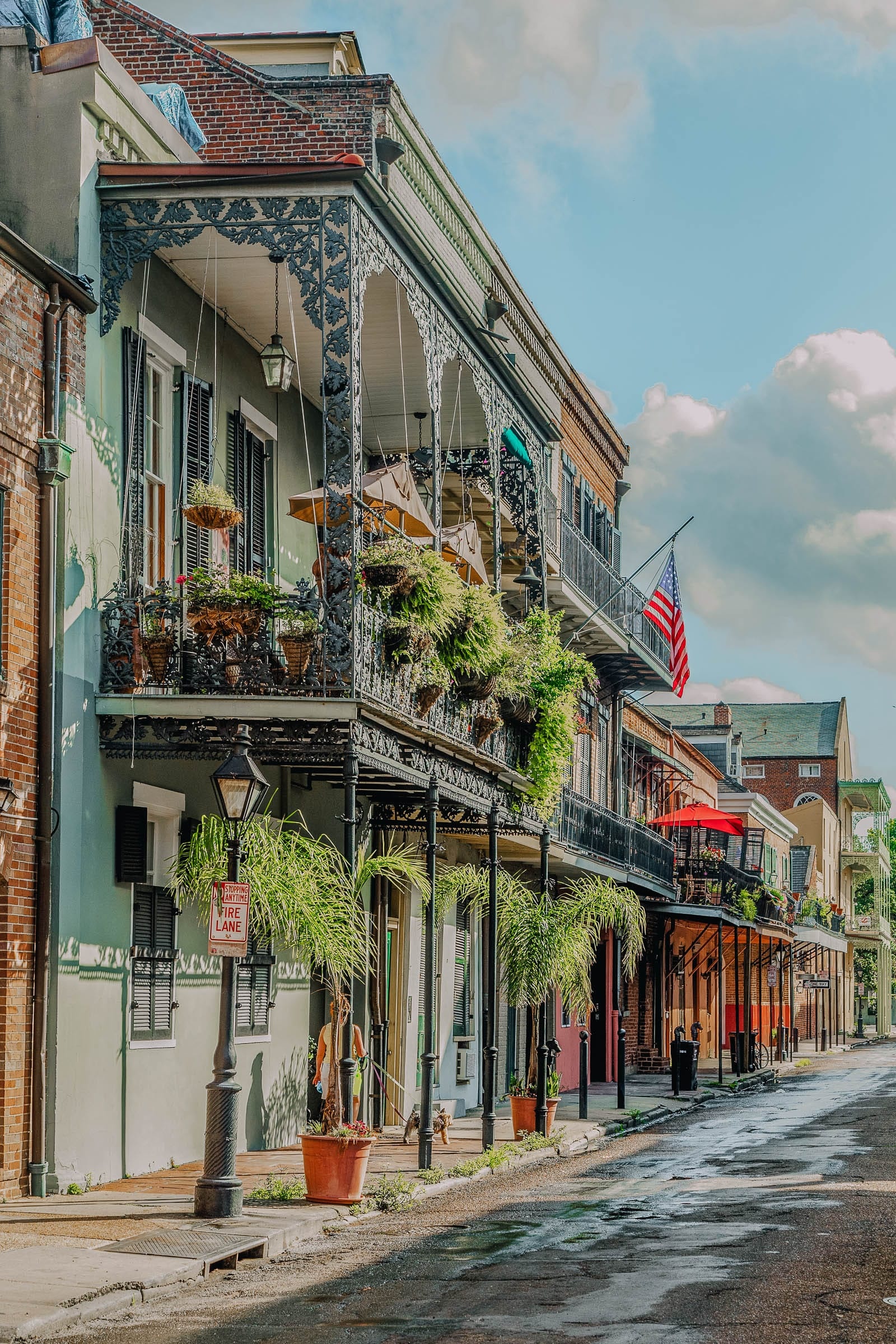 New Orleans travels, Things to do, Hand luggage only, Travel recommendations, 1600x2400 HD Phone