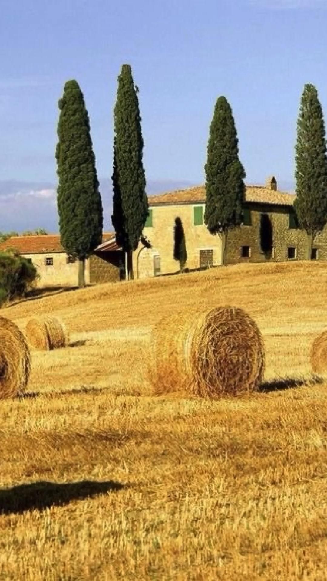 Tuscany Italy, Vacation destination, Stunning landscapes, Serene beauty, 1080x1920 Full HD Phone