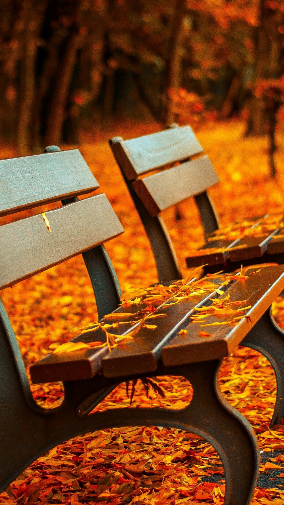 Park (Nature), Autumn park, 5k 4k wallpaper, Trees leaves bench, 1080x1920 Full HD Phone