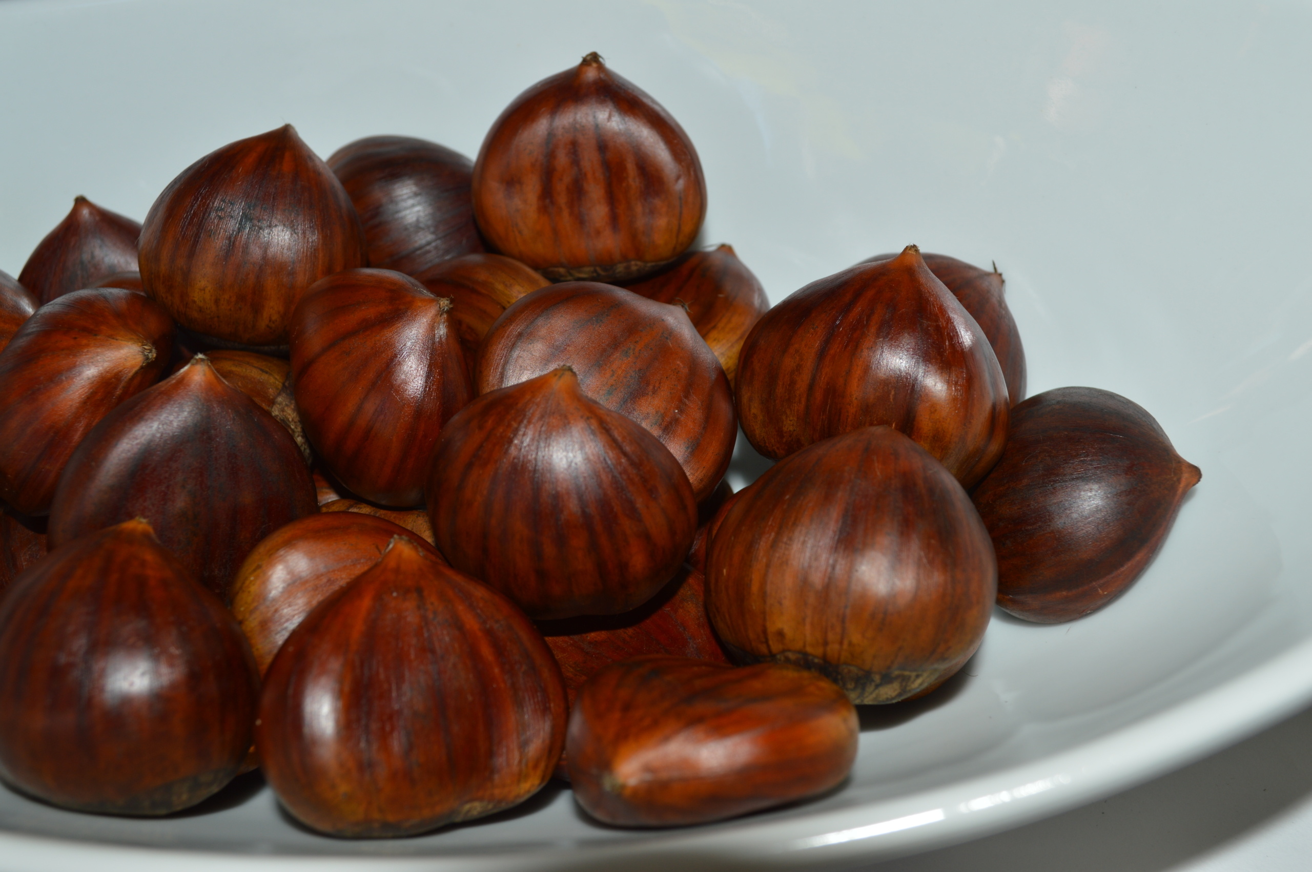 Secret to roasted chestnuts, Expert advice, Dr. David Ludwig, Perfectly cooked, 2560x1710 HD Desktop