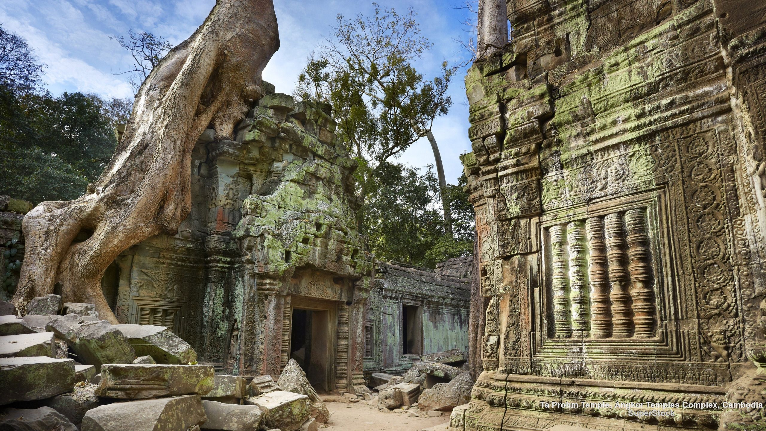 Ta Prohm temple, Siem Reap, Cambodia, Asian travel inspiration, 2560x1440 HD Desktop