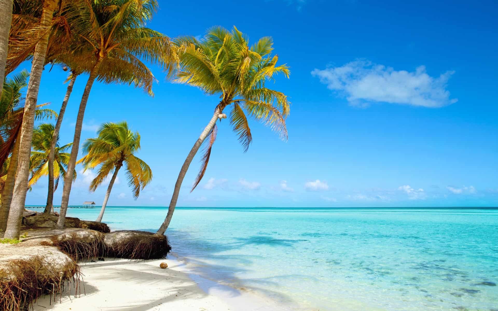 Belize active vacations, Nature travel, Adventure activities, Travel exploration, 1920x1200 HD Desktop