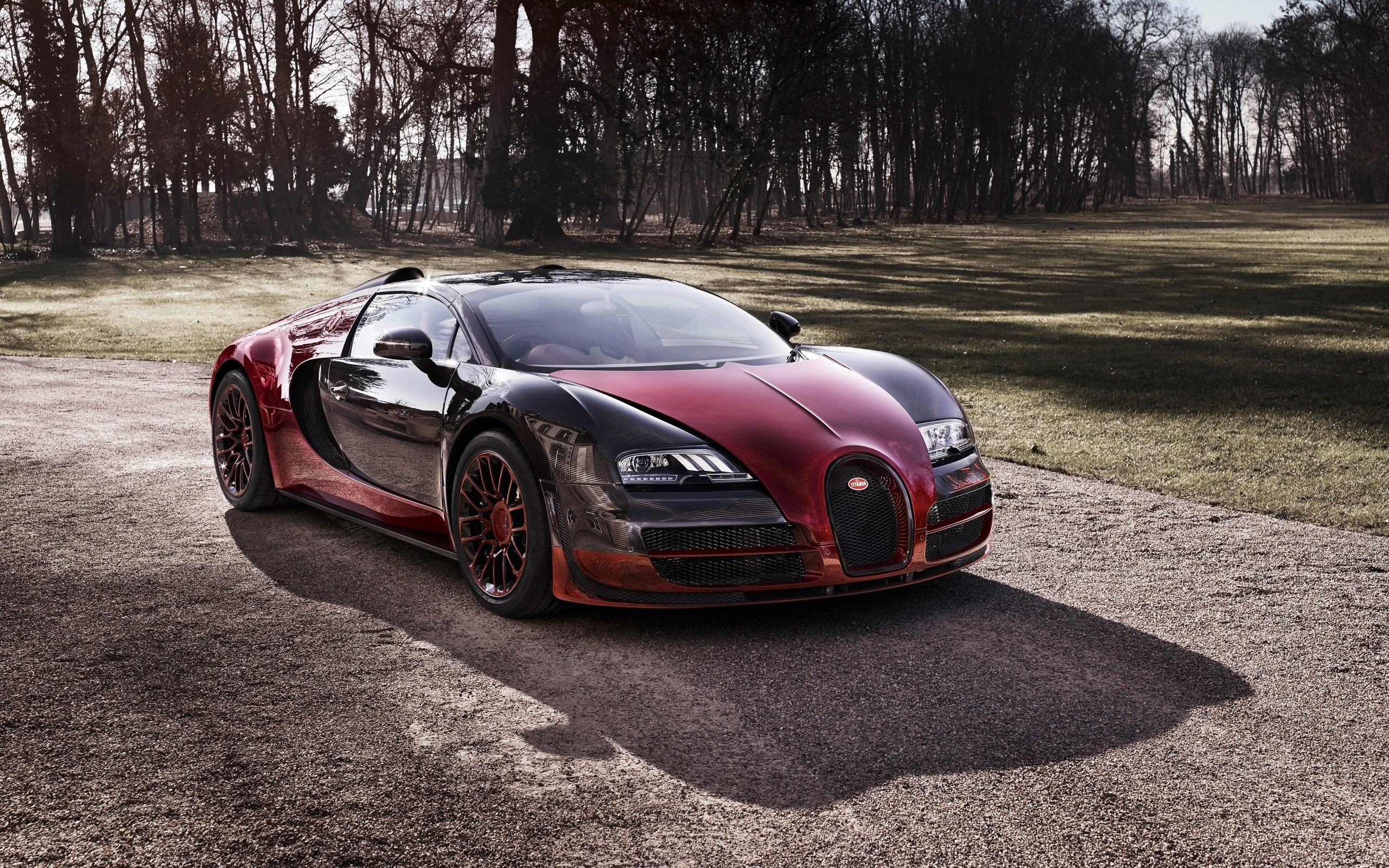 Bugatti Veyron, 4k wallpapers, Photos, 2560x1600 HD Desktop