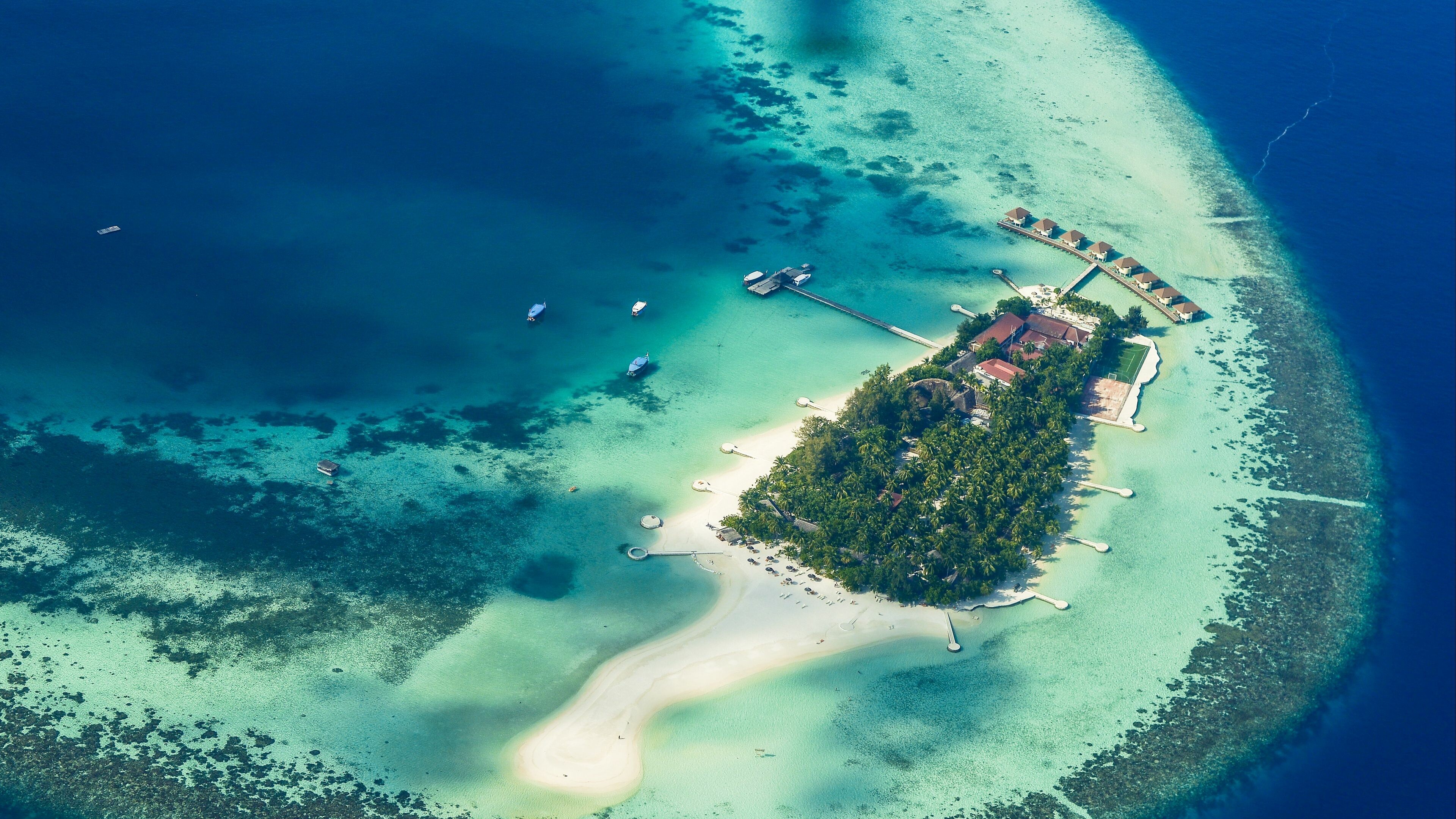 Island: Ocean, Palm trees, Tropical paradise, Seashore. 3840x2160 4K Background.