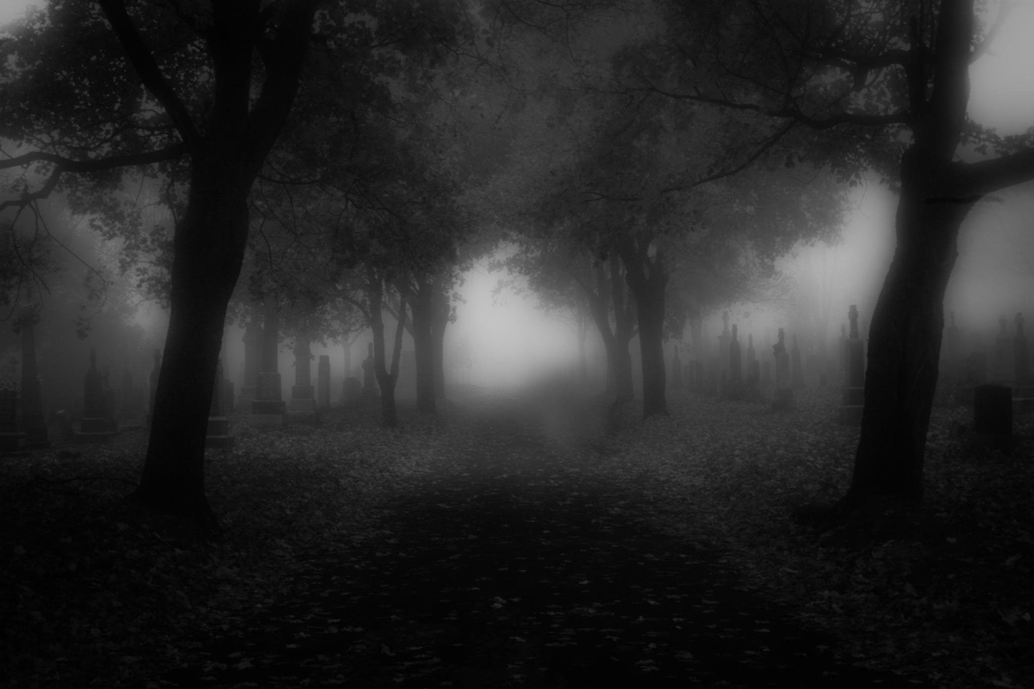 Haunted Forest, Spooky Vibes, Dark Atmosphere, Sinister, 2050x1370 HD Desktop