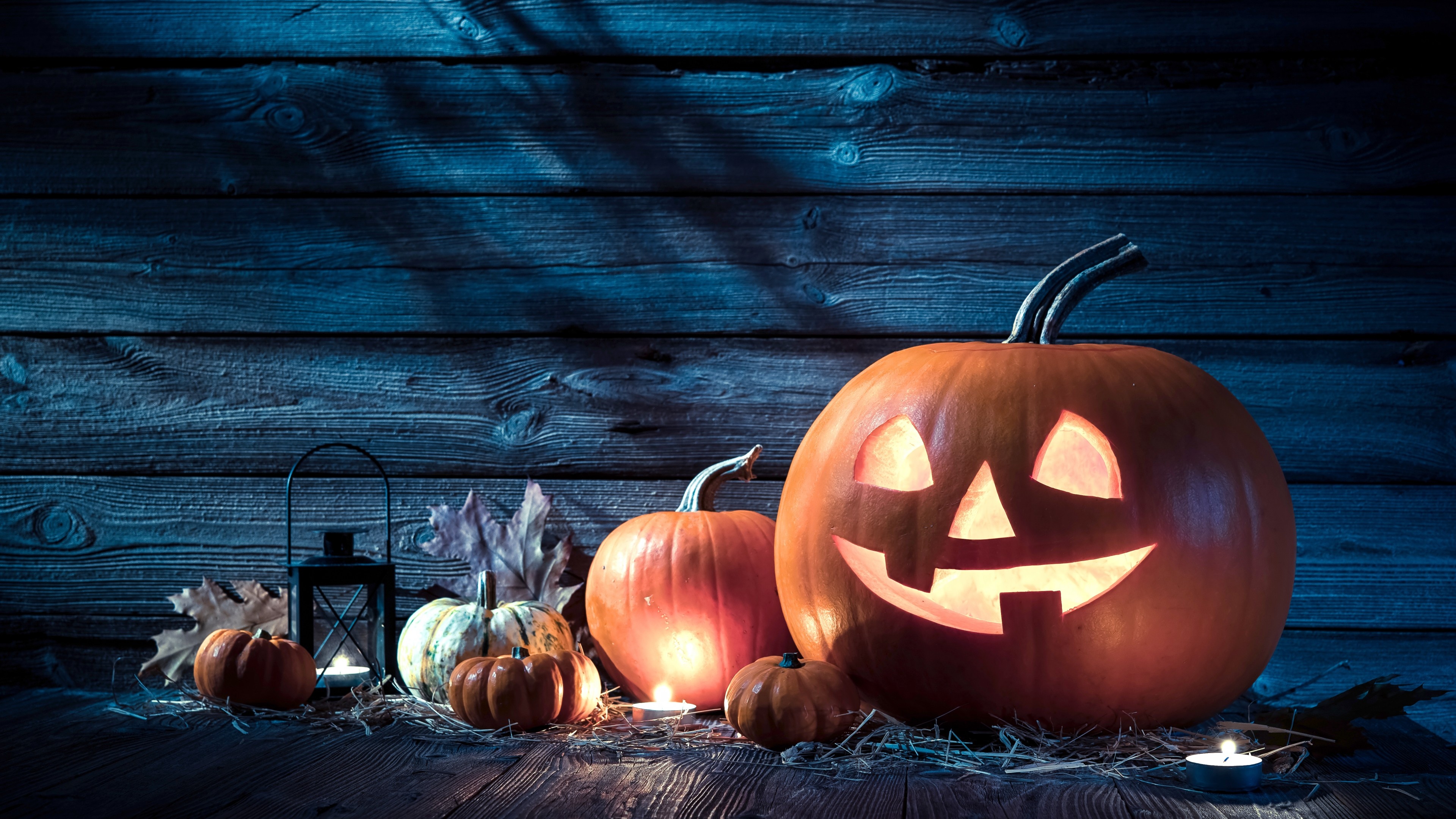 Halloween Pumpkins, Festive decorations, Halloween wallpapers, Pumpkin carvings, 3840x2160 4K Desktop