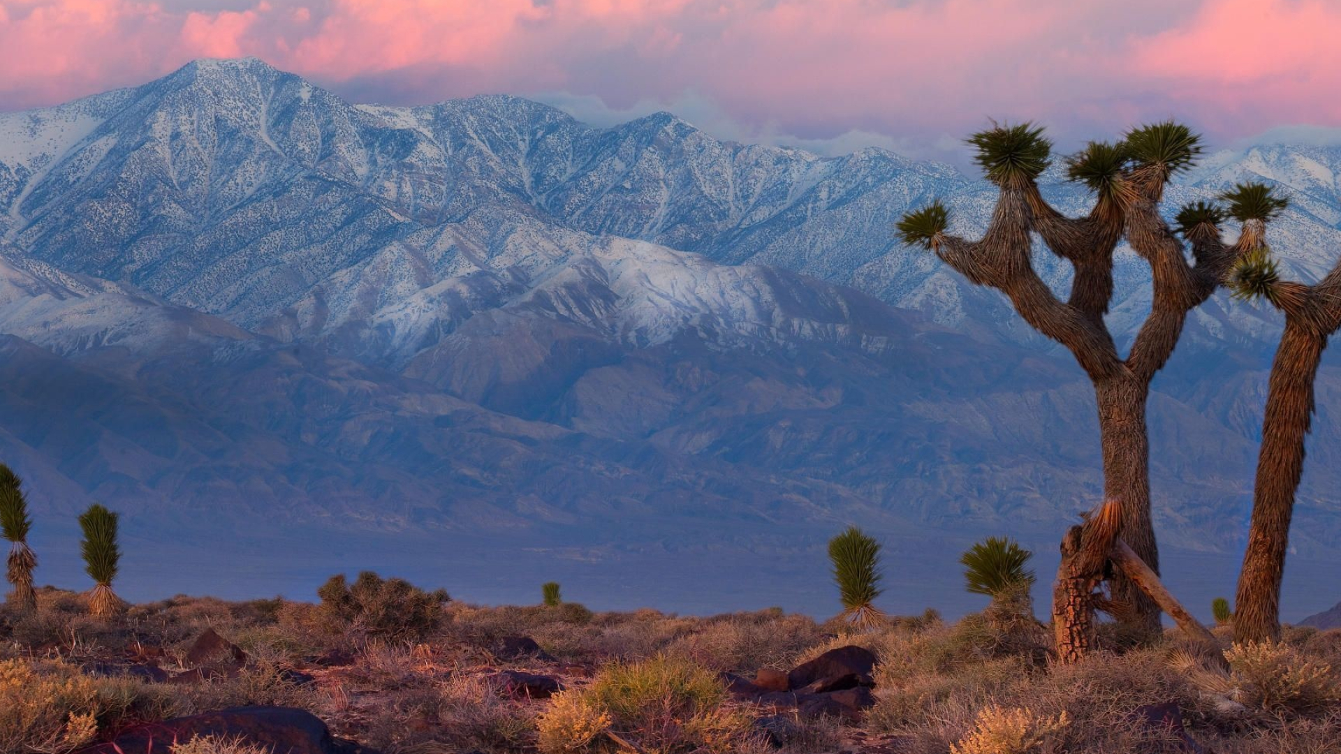 Death Valley National Park, Nature wallpaper, Landscape photography, Free HD download, 1920x1080 Full HD Desktop