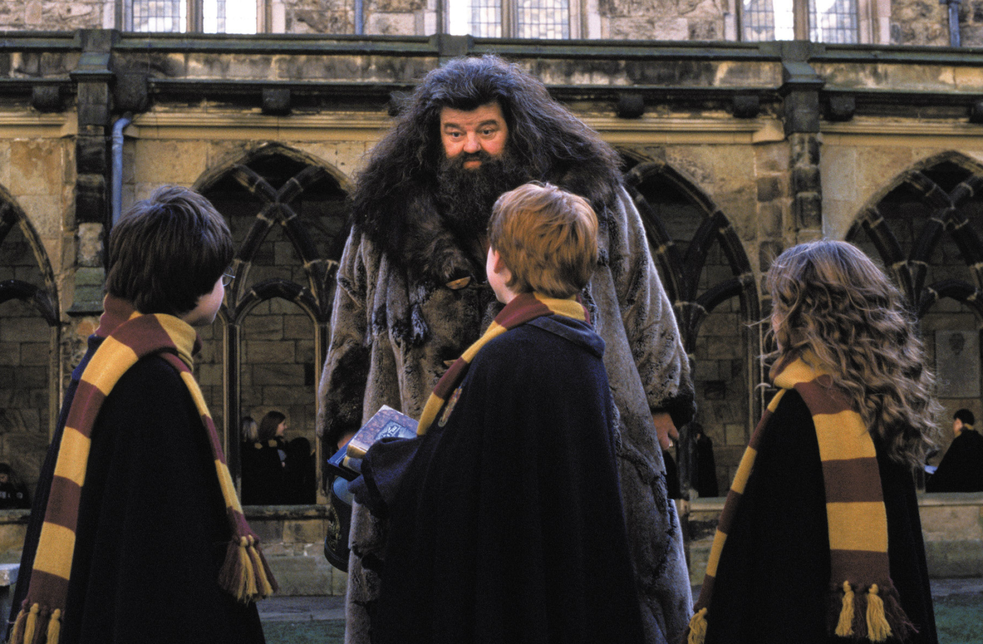 Hagrid and the trio, Unbreakable bond, Cherished mentors, Hogwarts memories, 2010x1320 HD Desktop