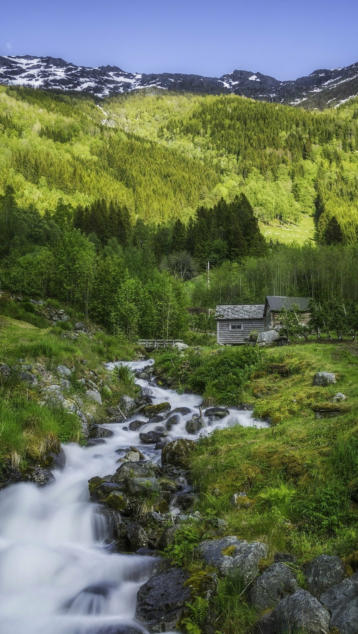 Norway: Hardangervidda mountain, Scandinavia, Natural landscape. 1220x2160 HD Background.