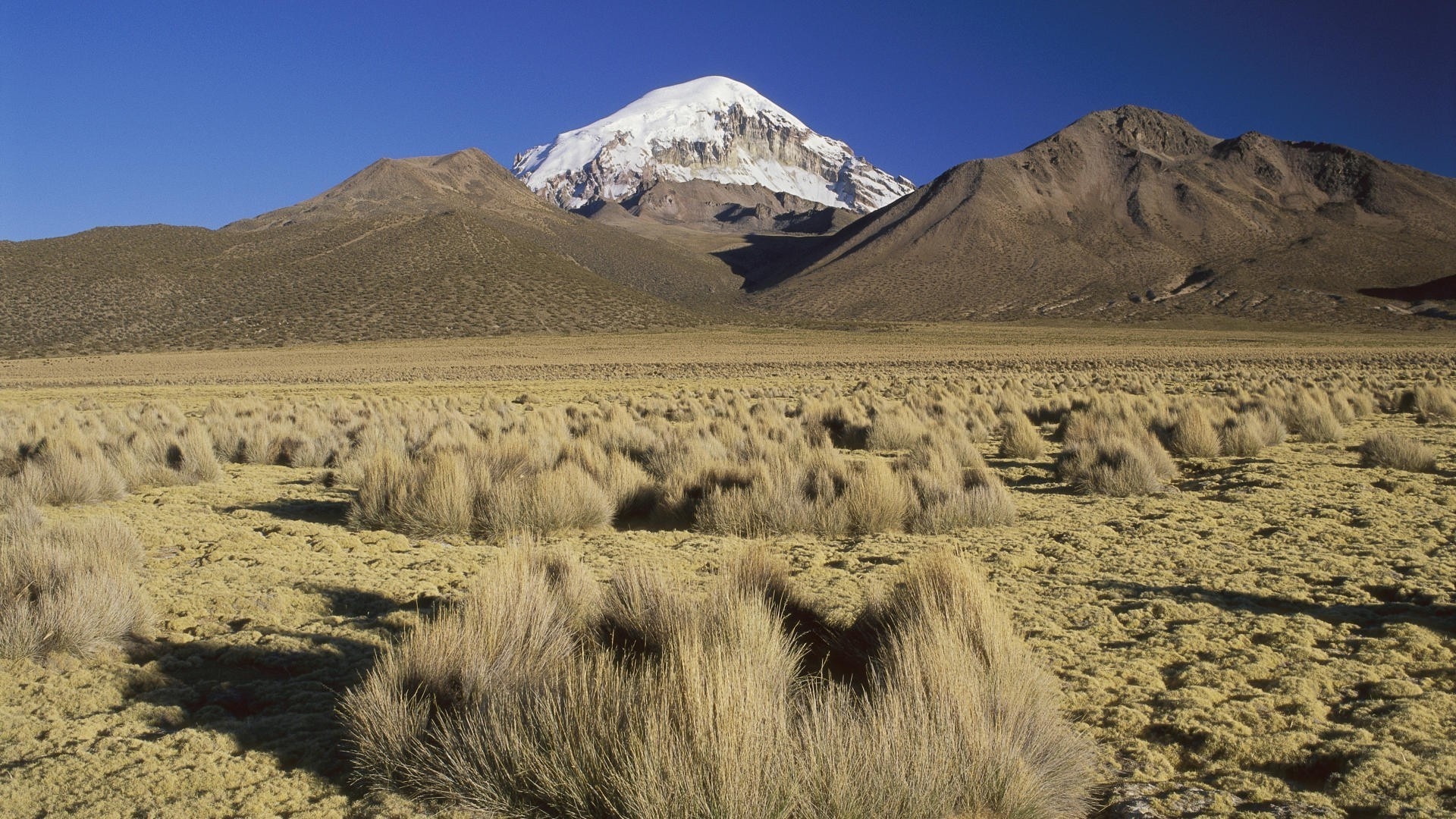 Nature landscape mountain Bolivia, Snow valley plants hill, 1920x1080 Full HD Desktop