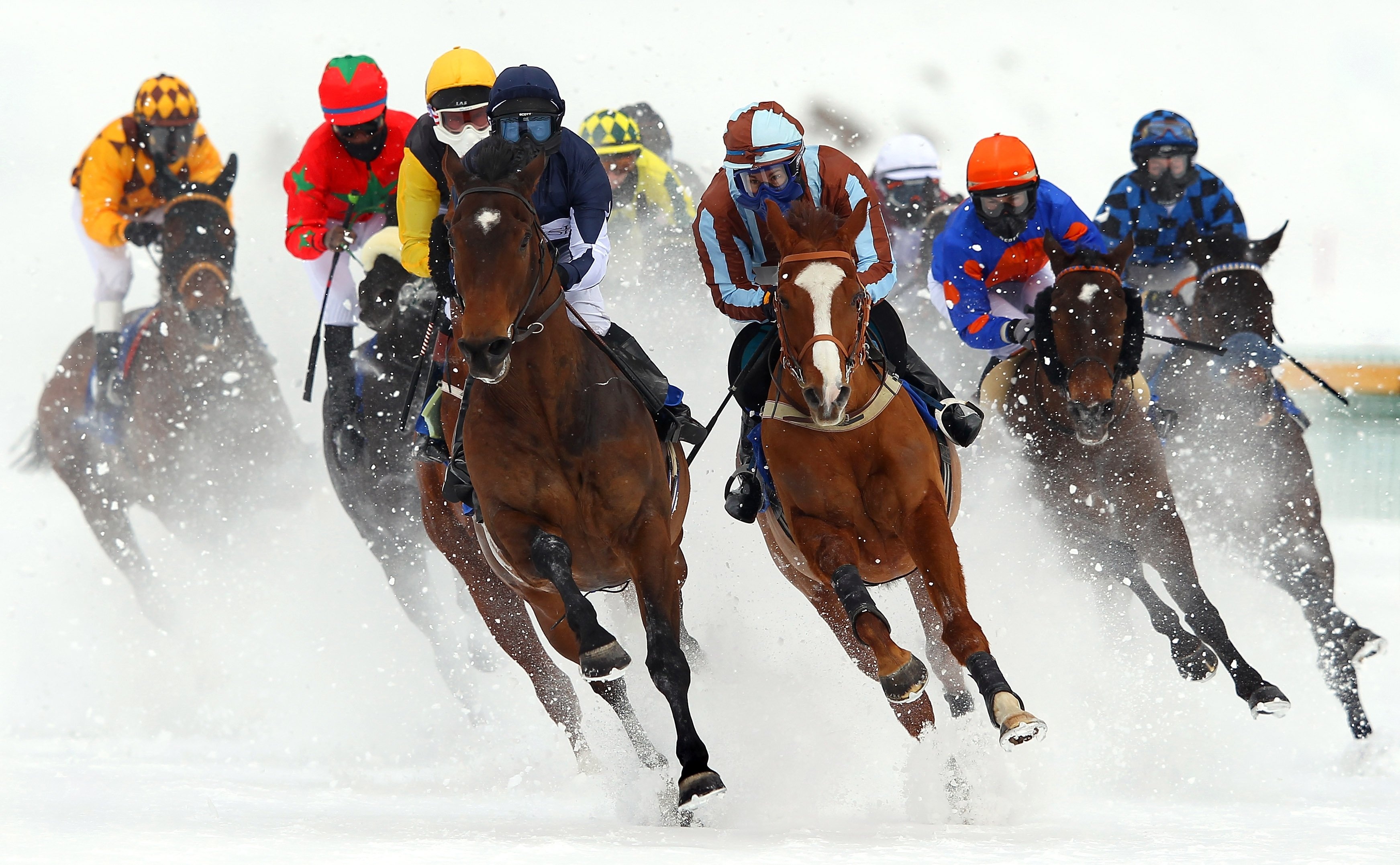 Equestrian Sports: Winter flat racing, The most common form of horse racing seen worldwide. 3490x2160 HD Background.