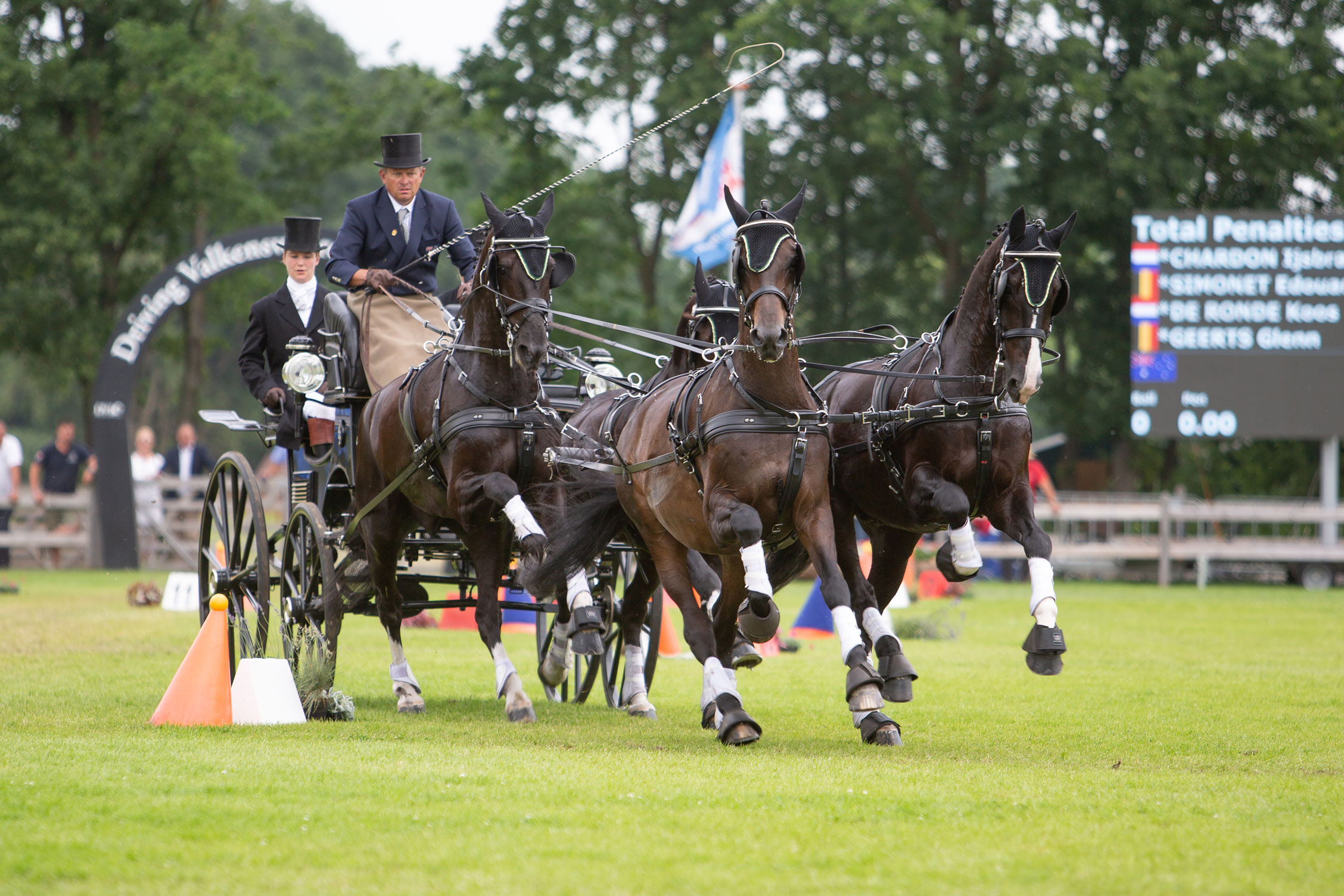 Carriage Driving, International event, Valkenswaard, Passion for sports, 2260x1510 HD Desktop