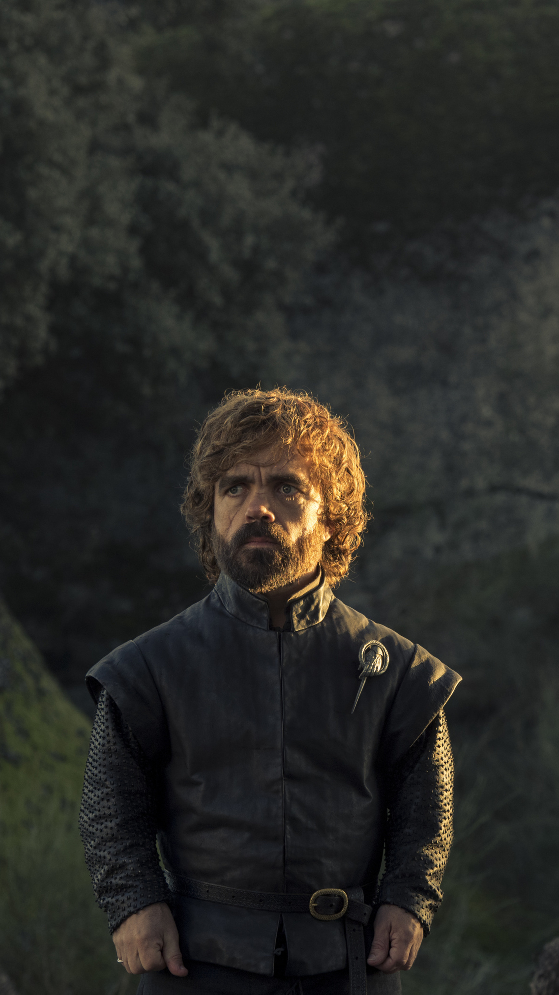 Tyrion Lannister, Game of Thrones wallpaper, 2160x3840 4K Phone
