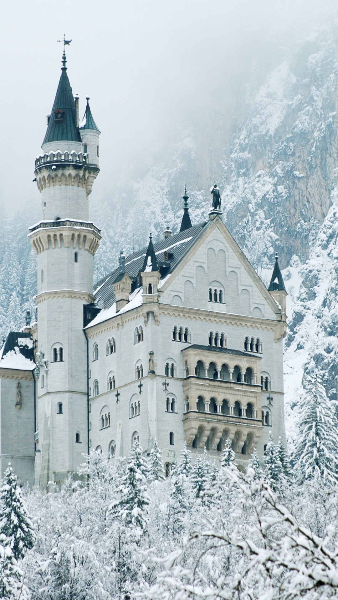 Neuschwanstein Castle: One of the most popular attractions of Germany, Bavaria. 1080x1920 Full HD Wallpaper.