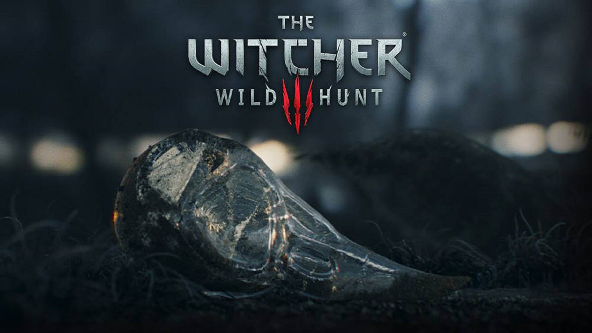 The Witcher (Game): RPG, Played in an open world with a third-person perspective. 1920x1080 Full HD Background.