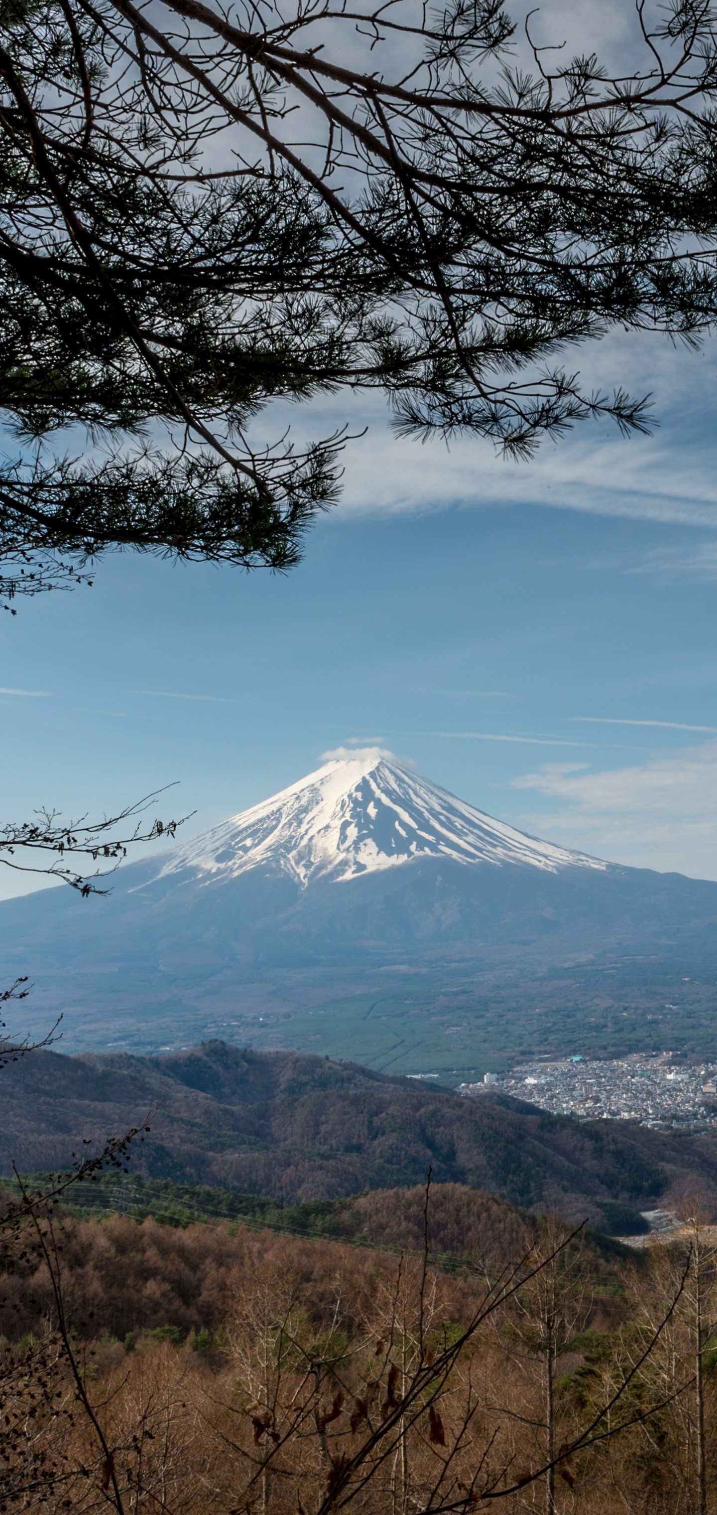 Mount Fuji, Travels, Earth, 1440x3040 HD Phone
