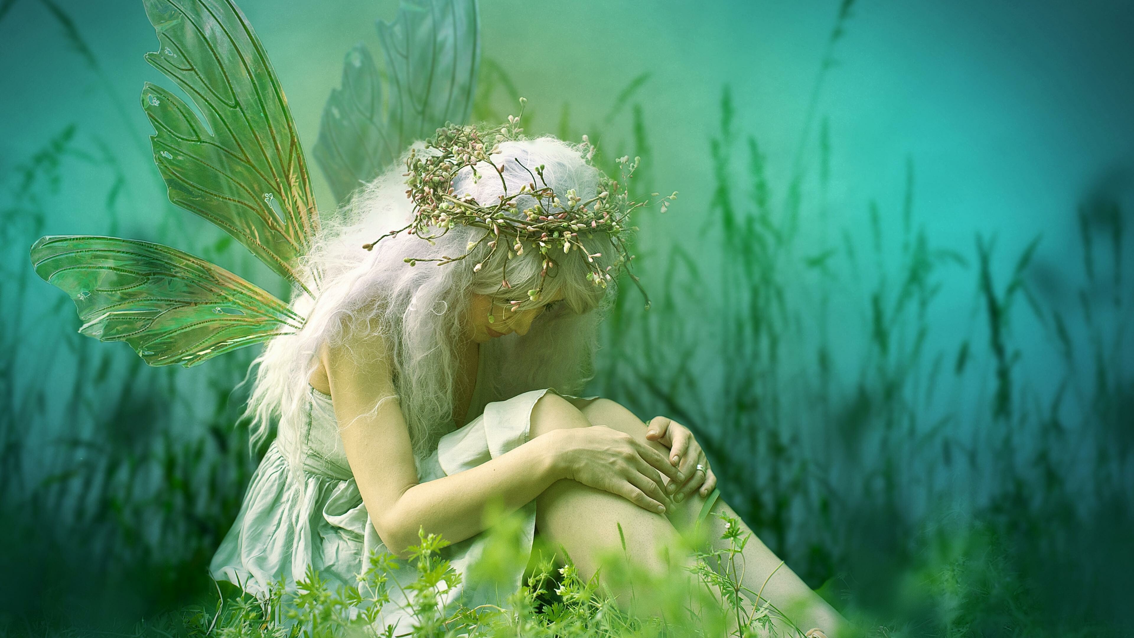 Fairy: Fae Folk, live within the trees, with wings that blend with the leaves. 3840x2160 4K Background.