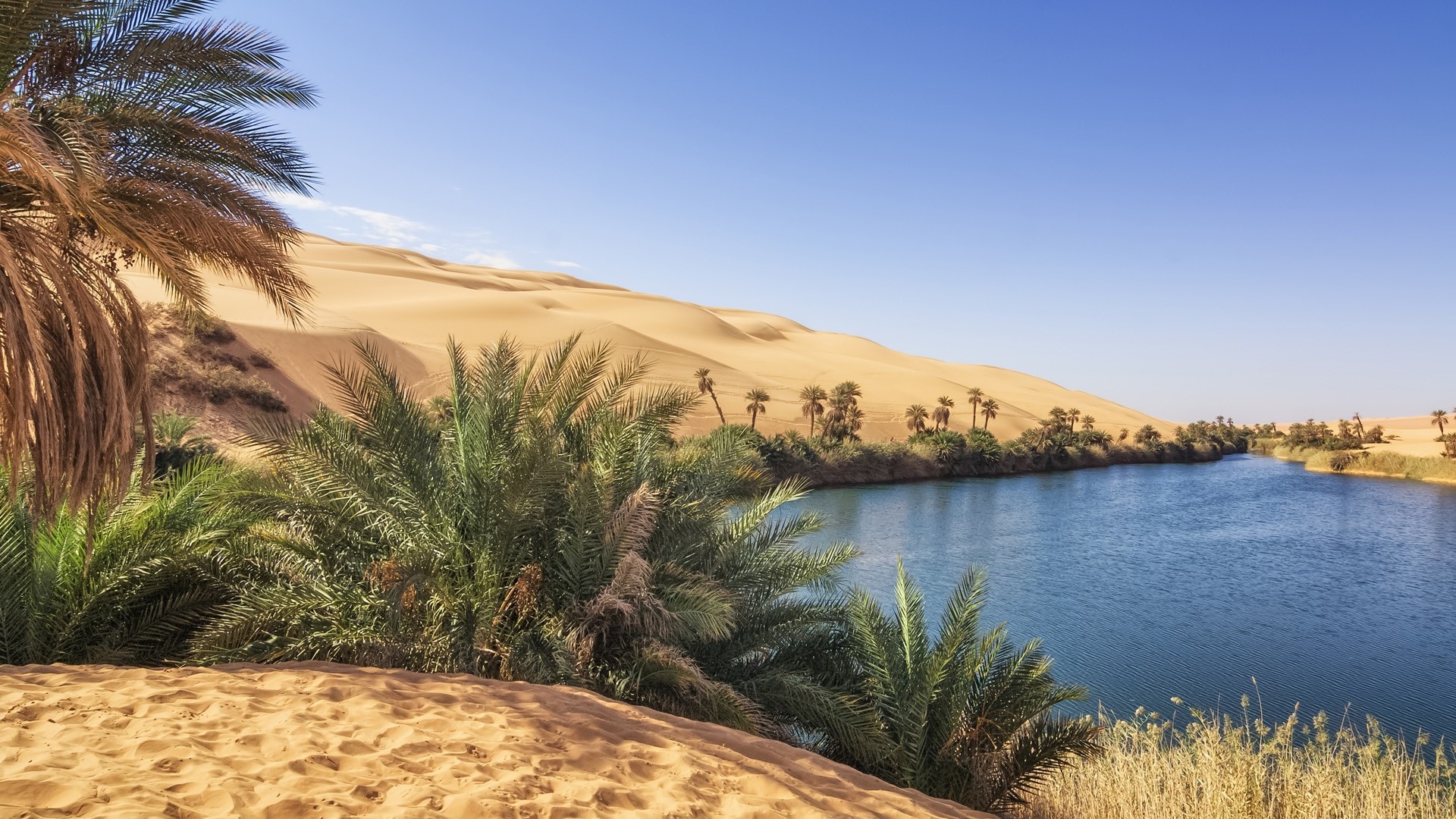 Libya Travels, Umm El Ma oasis, Fezzan region, Sahara desert beauty, 1920x1080 Full HD Desktop
