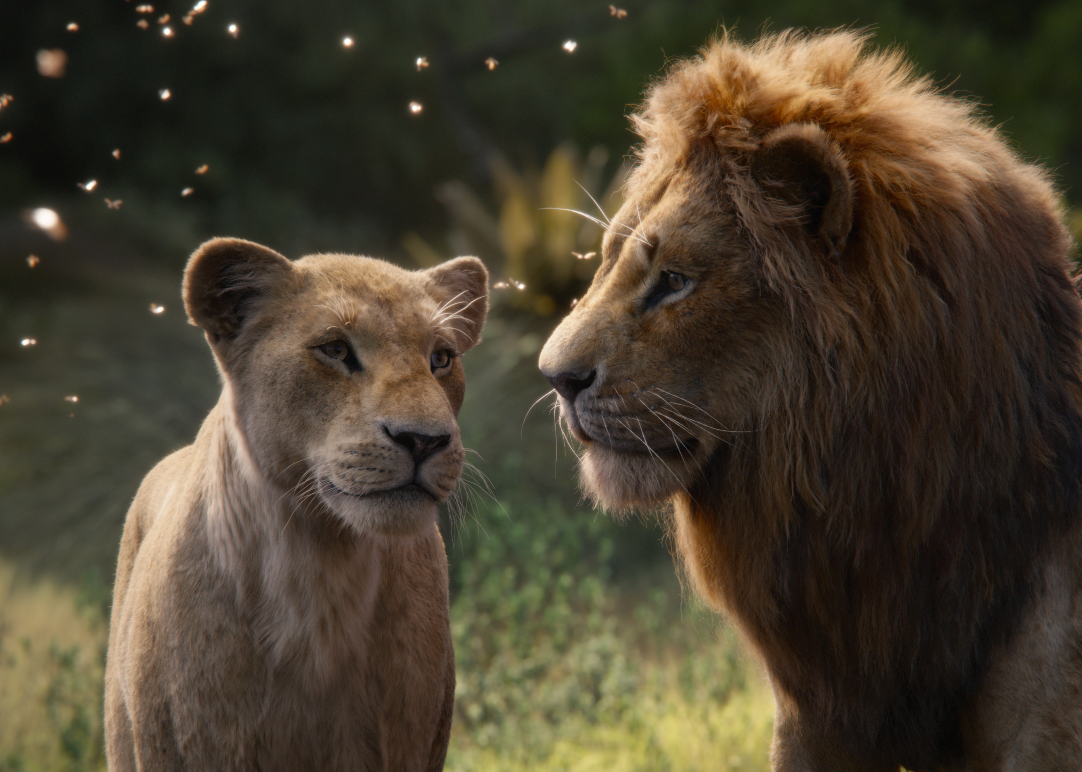 The Lion King 2019 movie, HD wallpapers, Breathtaking backgrounds, Majestic animation, 2150x1540 HD Desktop