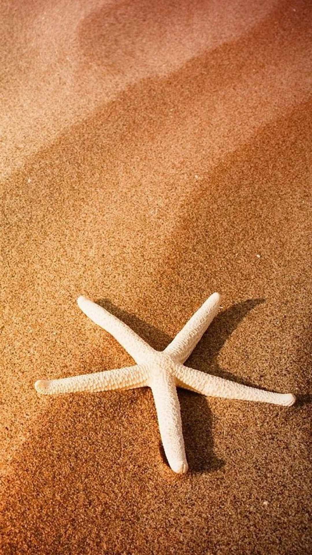 Starfish: Android Starfish Wallpaper posted by Ryan Sellers. 1080x1920 Full HD Wallpaper.
