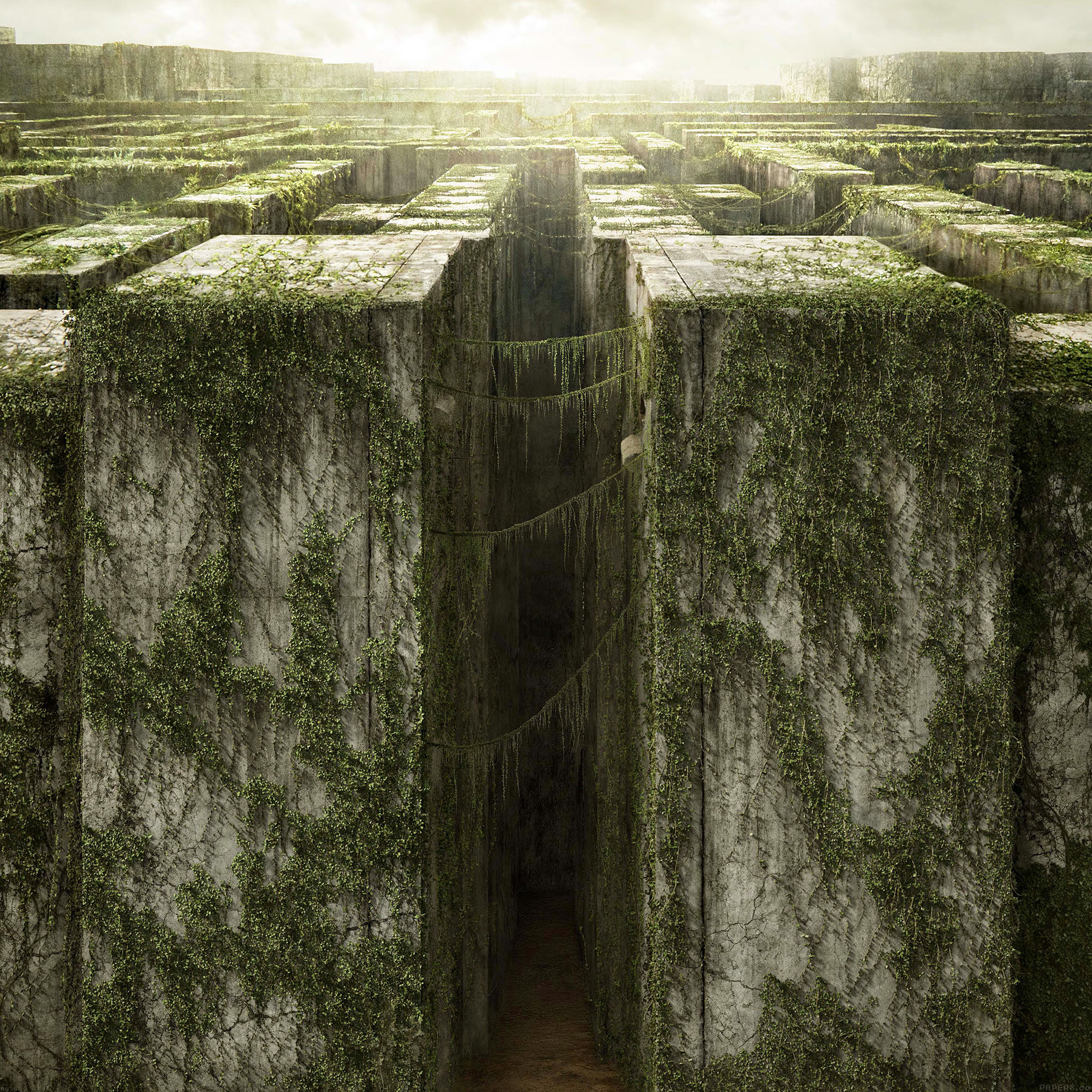 The Maze Runner, Intriguing poster, Adventure awaits, Uncover the mystery, 2050x2050 HD Phone