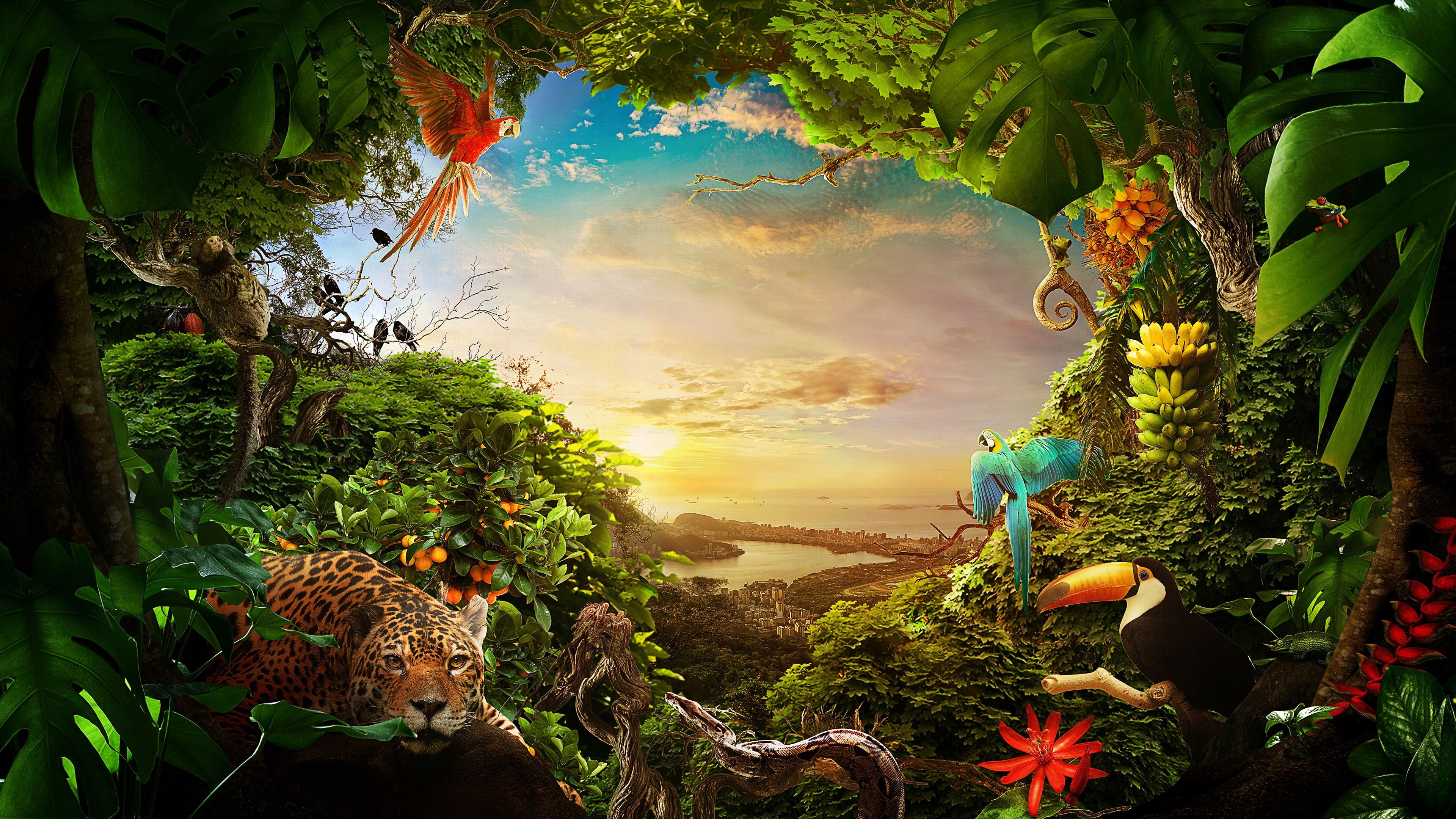 Jungle Animal, Brazilian wildlife, 4K nature wallpaper, Forest and wildlife beauty, 3840x2160 4K Desktop