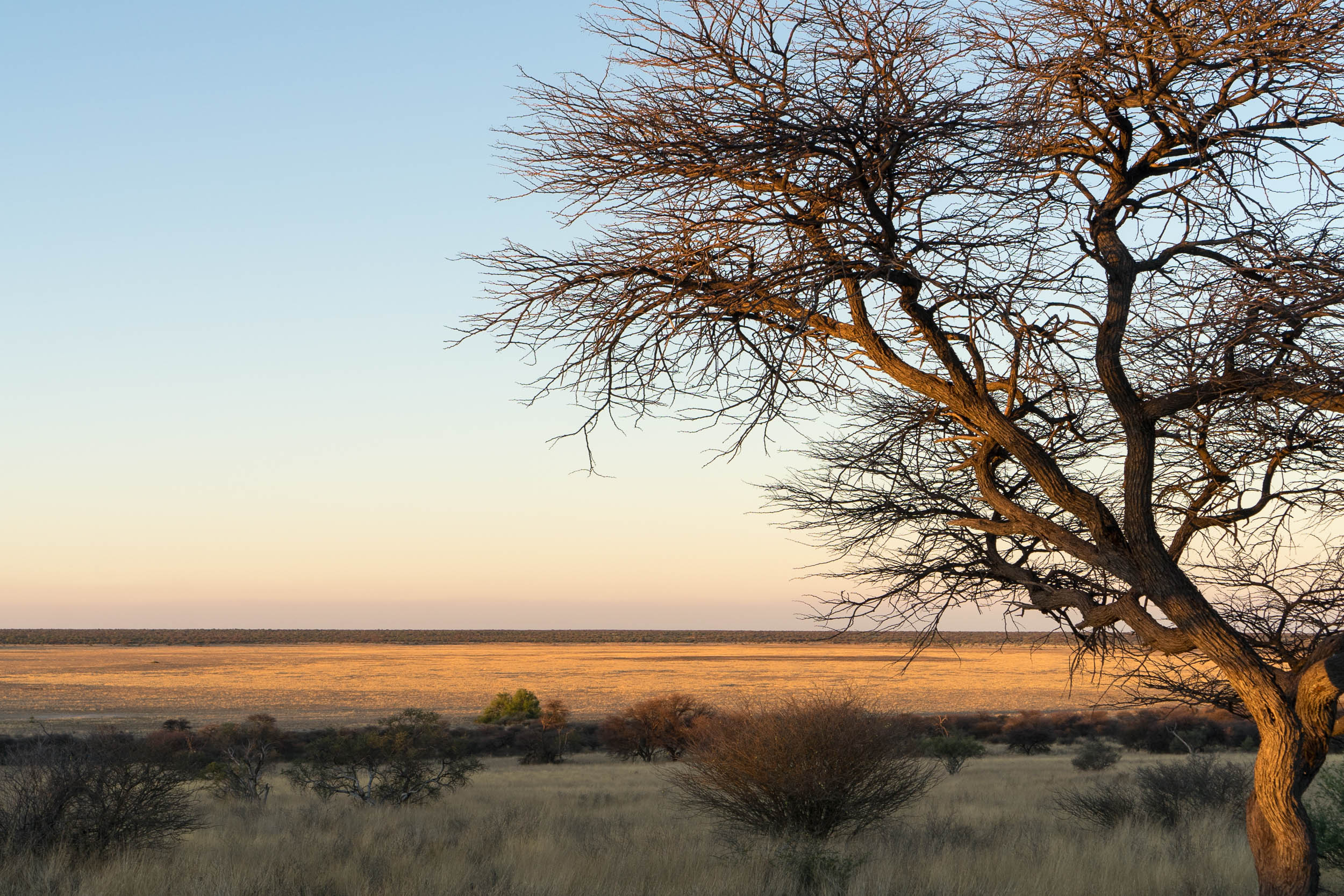Botswana unsere pfade, Untouched nature, Scenic beauty, Unexplored trails, 2500x1670 HD Desktop